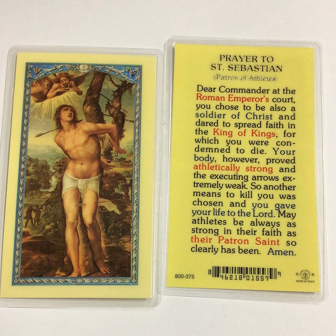 BM-laminated-St Sebastian-800-375/E24-541