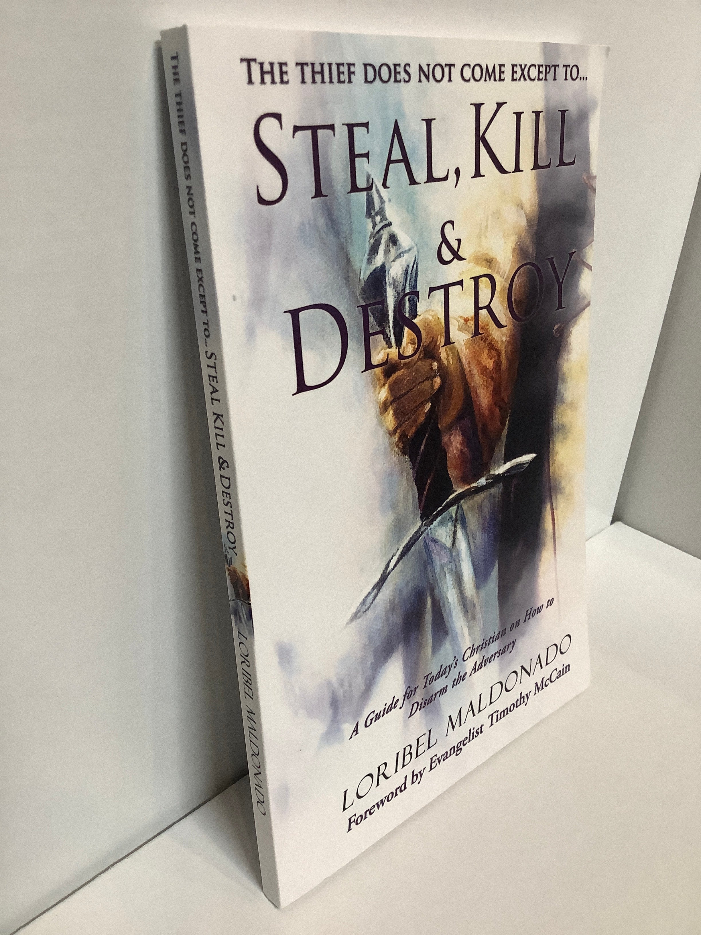 Book/StealKillDestroy