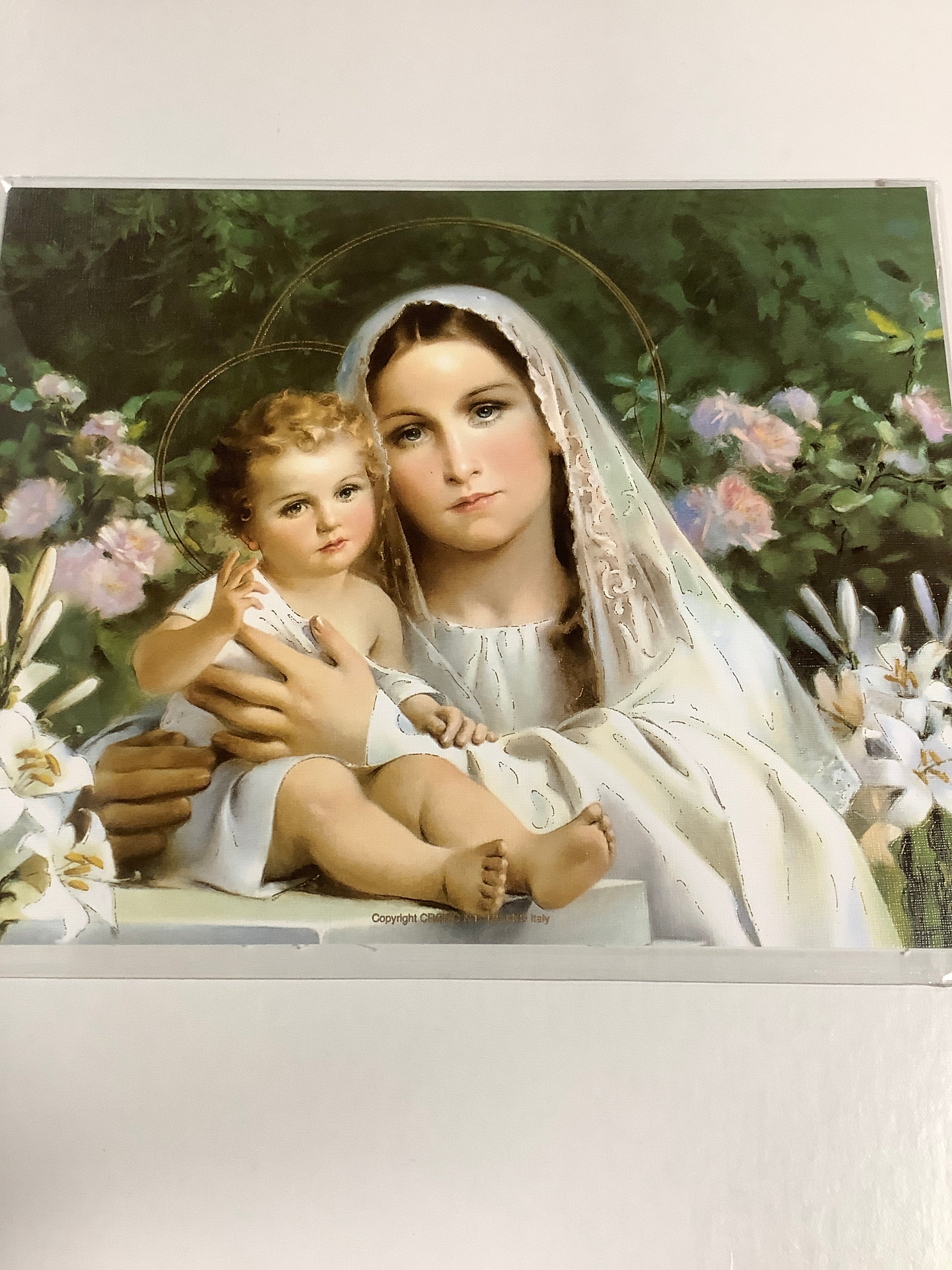 Poster/8x10/Madonna of Lilies