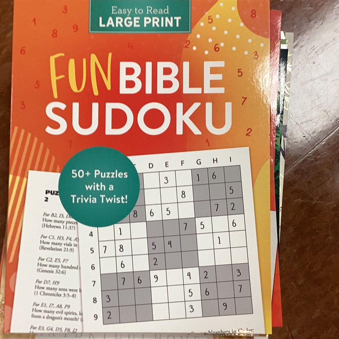 Book/Fun Bible Sudoko/LrgPrint