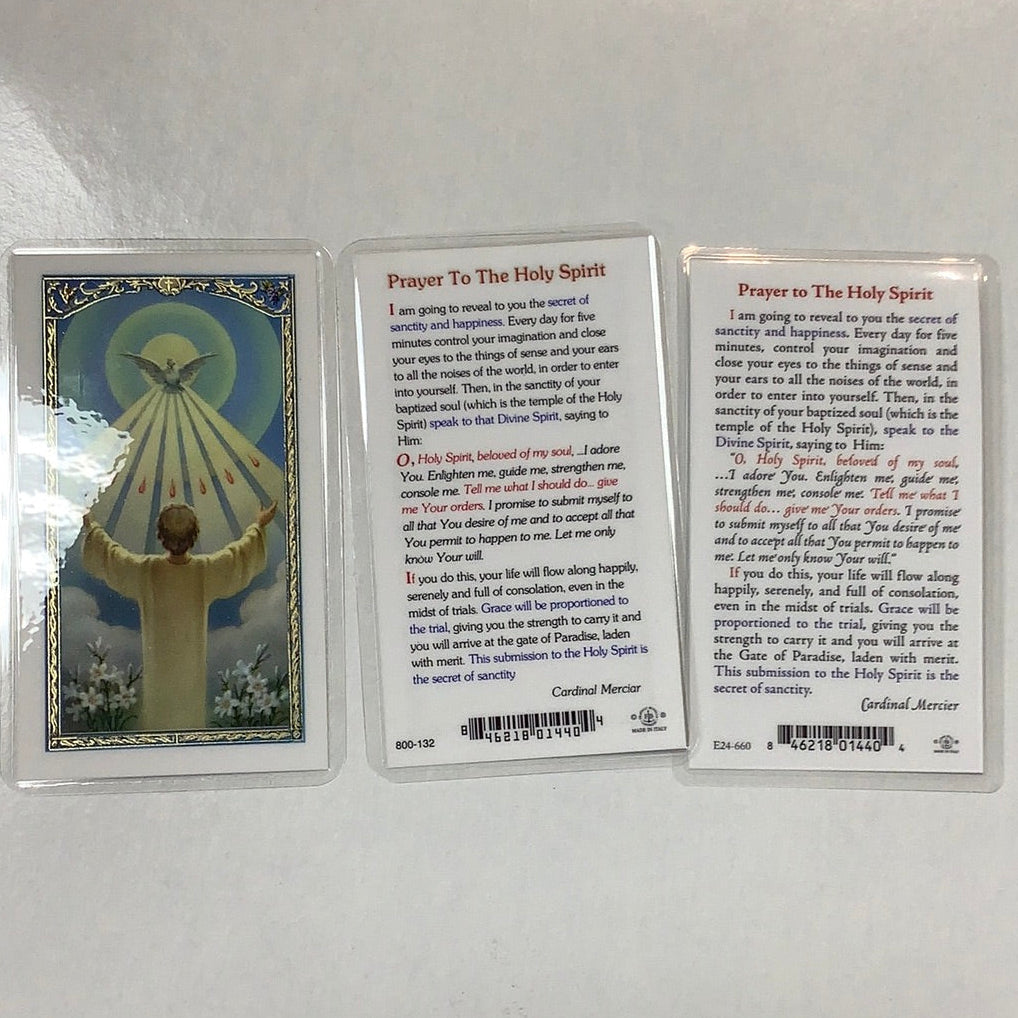 BM-laminated-Holy Spirit-800-132/E24-660