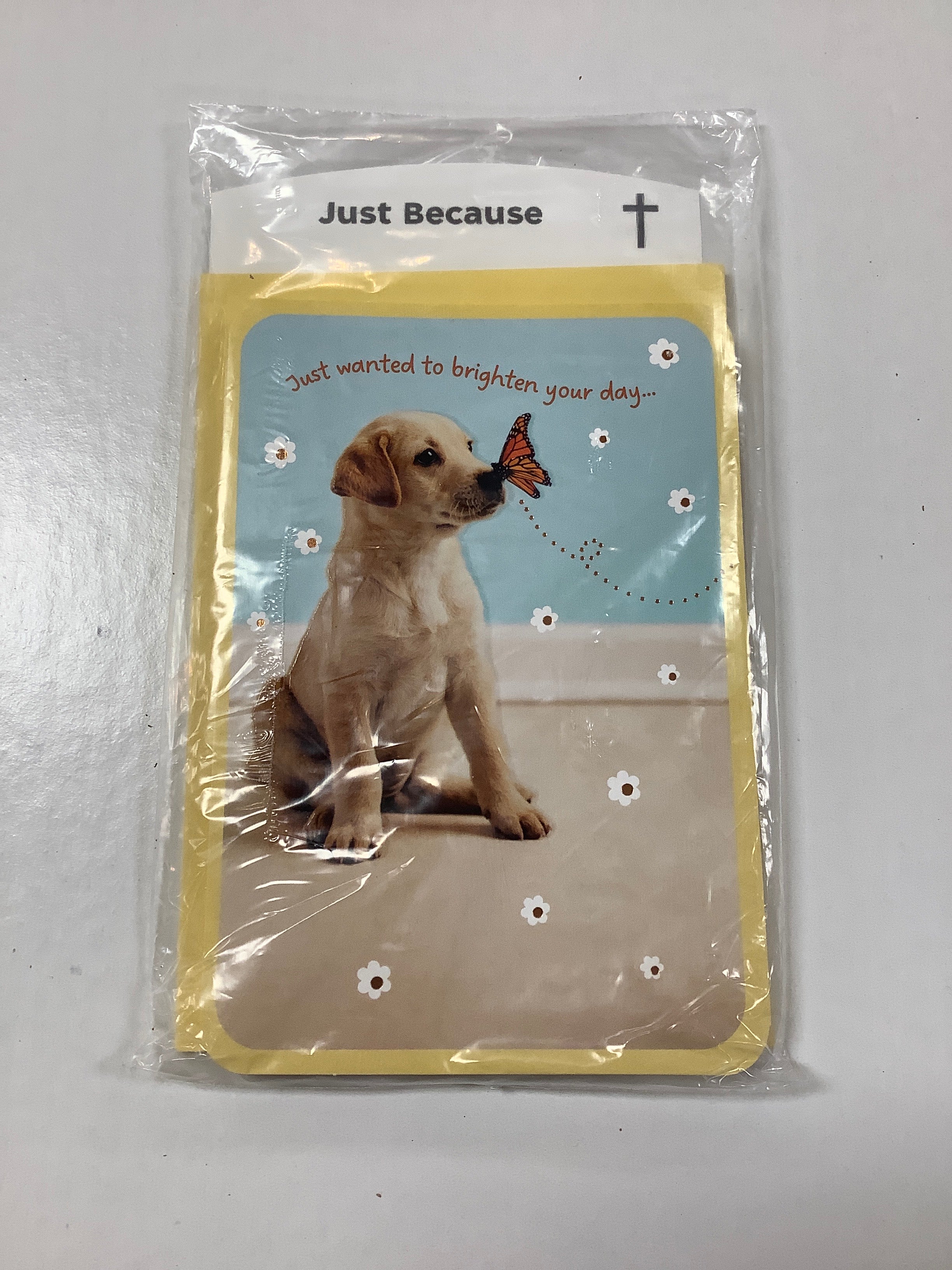Card-Just Because-U4880-(WH17)
