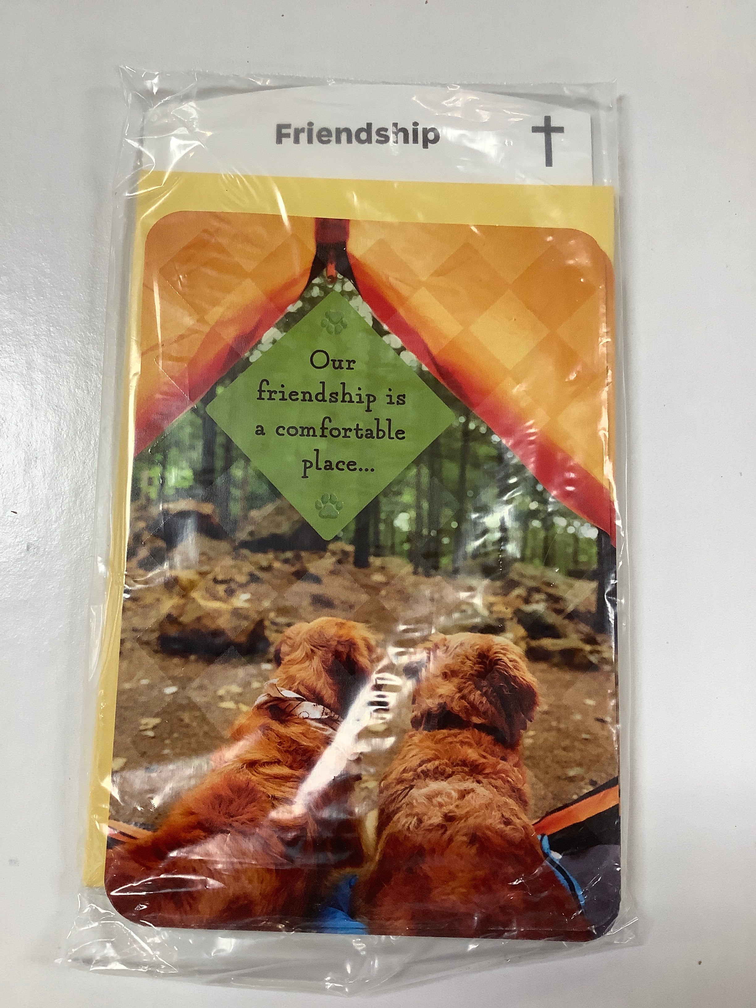 Card-Friendship-U4884-(WH14)