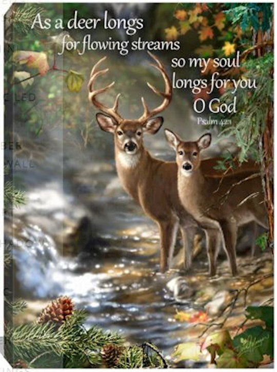 Canvas/Deer/Creek