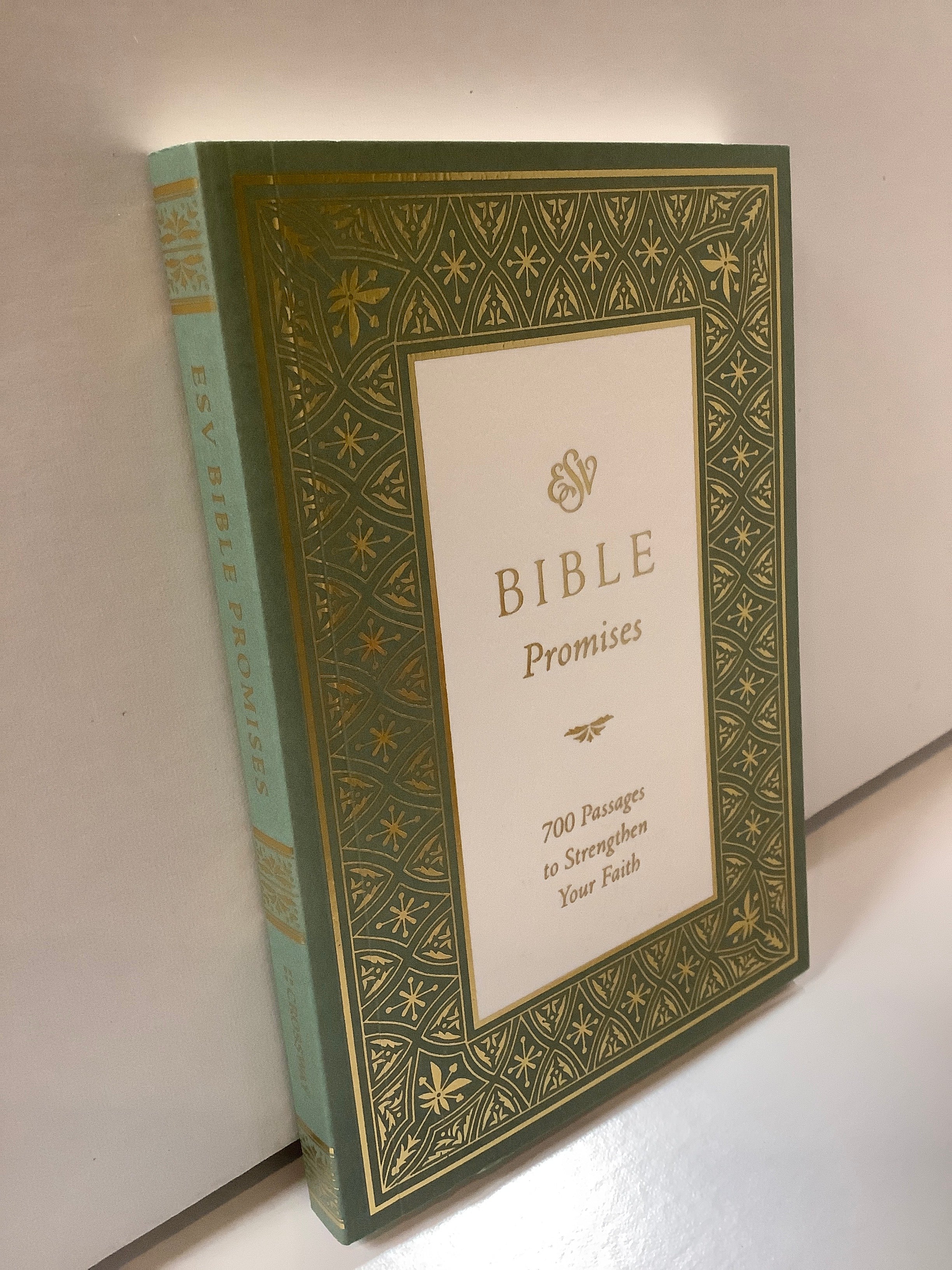 Book-Bible Promises-ESV-700 Pasages
