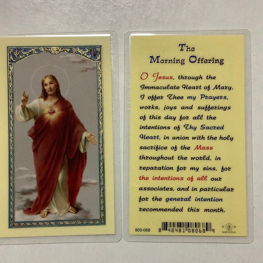 BM-laminated-Morning Offering-800-068