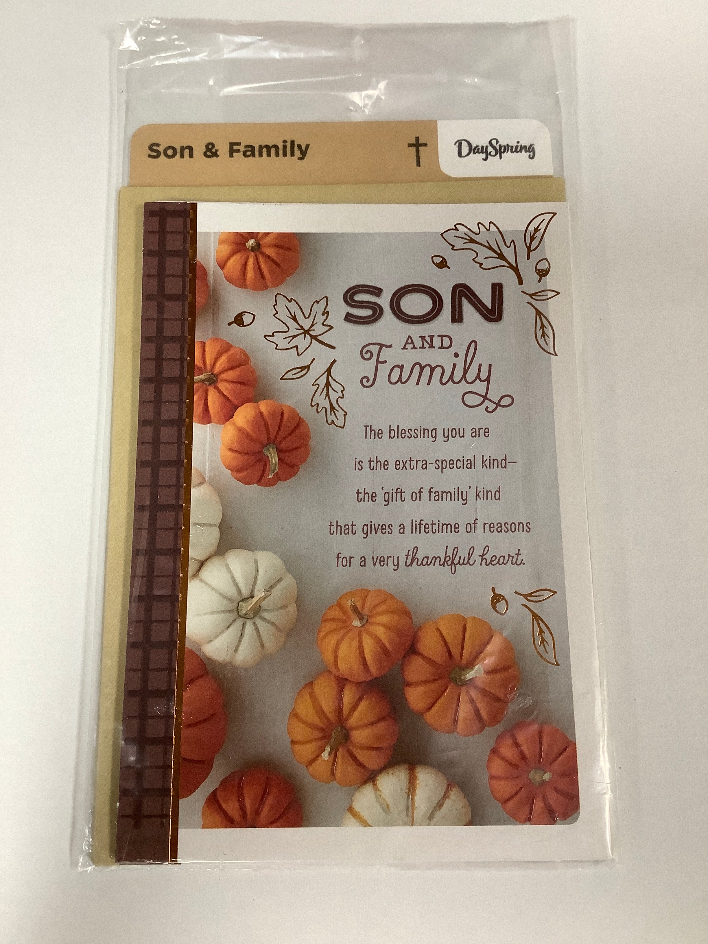 Card-Son & Family-Thanksgiving-Pumpkins-U1319