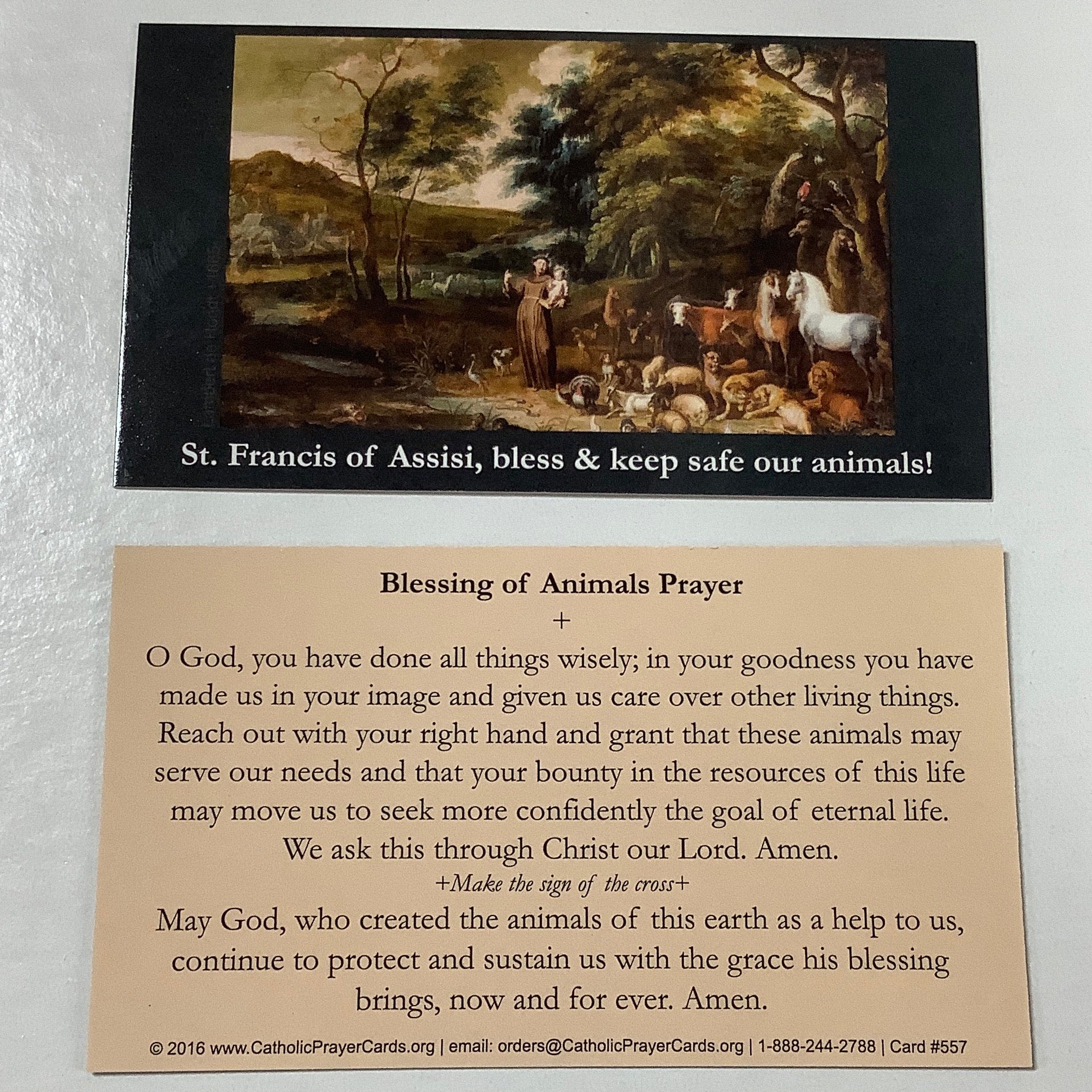 BM-#557/CPC-St. Francis Blessing of Animals