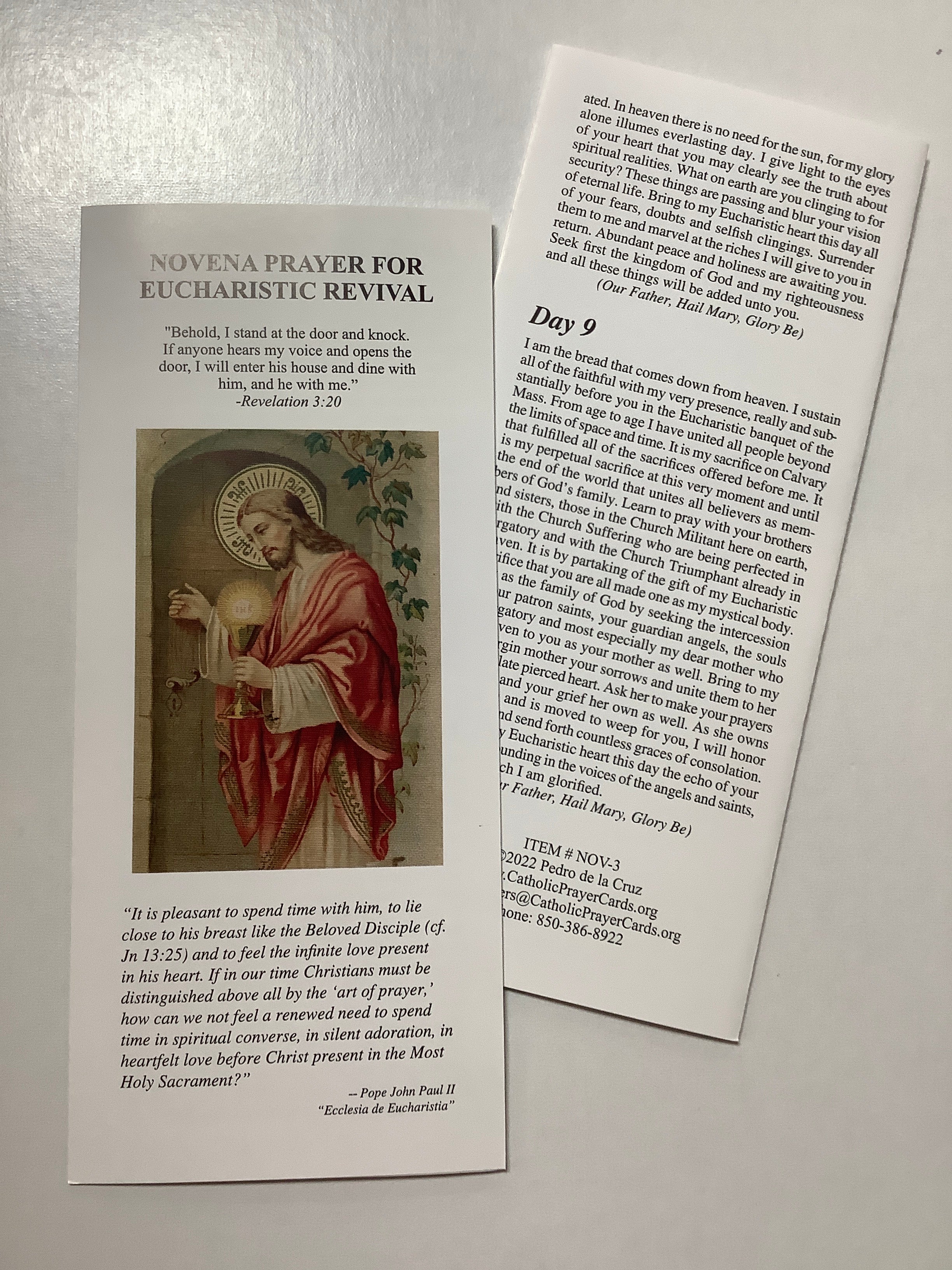 Brochure/Euch Rev Novena/NOV-3
