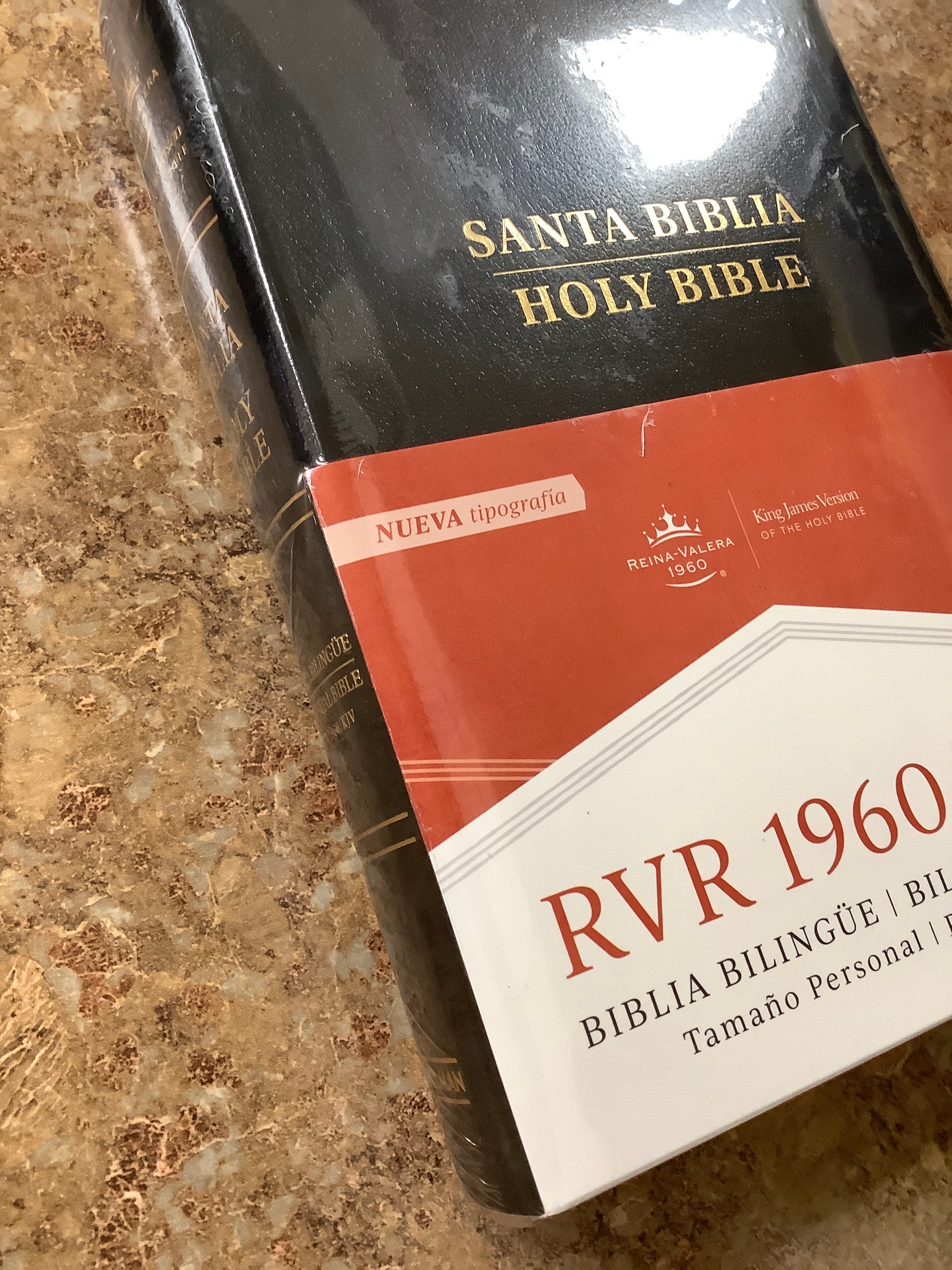 Bible-RVR-KJV-Bilingual-Indexed-Black