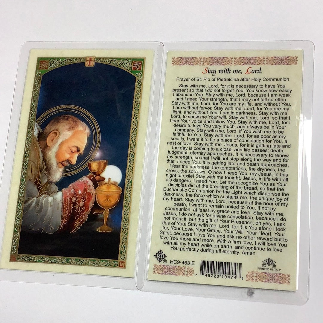 BM-laminated-Stay with me, Lord-HC9-463 E