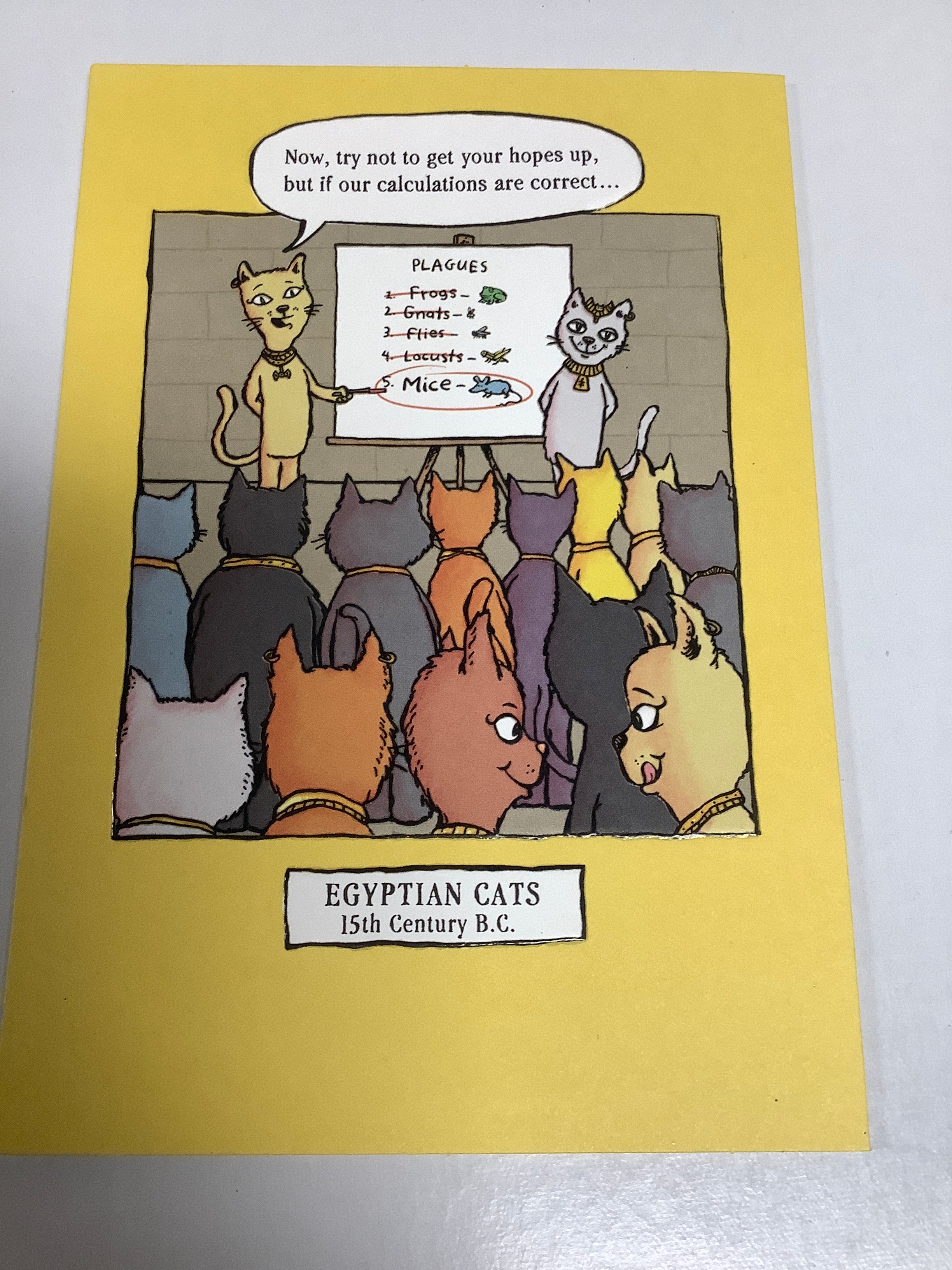 Card/Birthday/Belated/J2705-B096