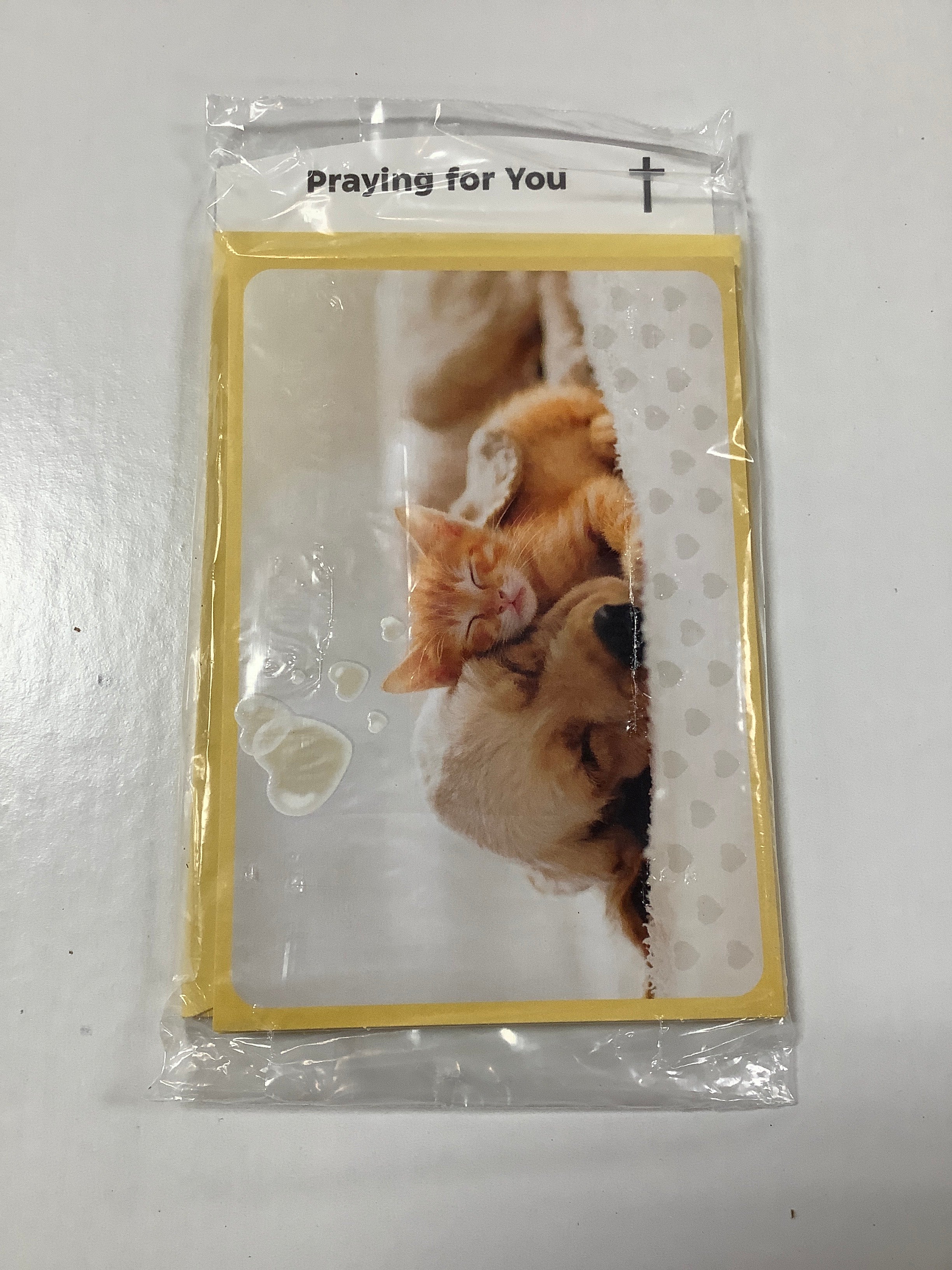 Card-Praying For You-U4886-(WH15)