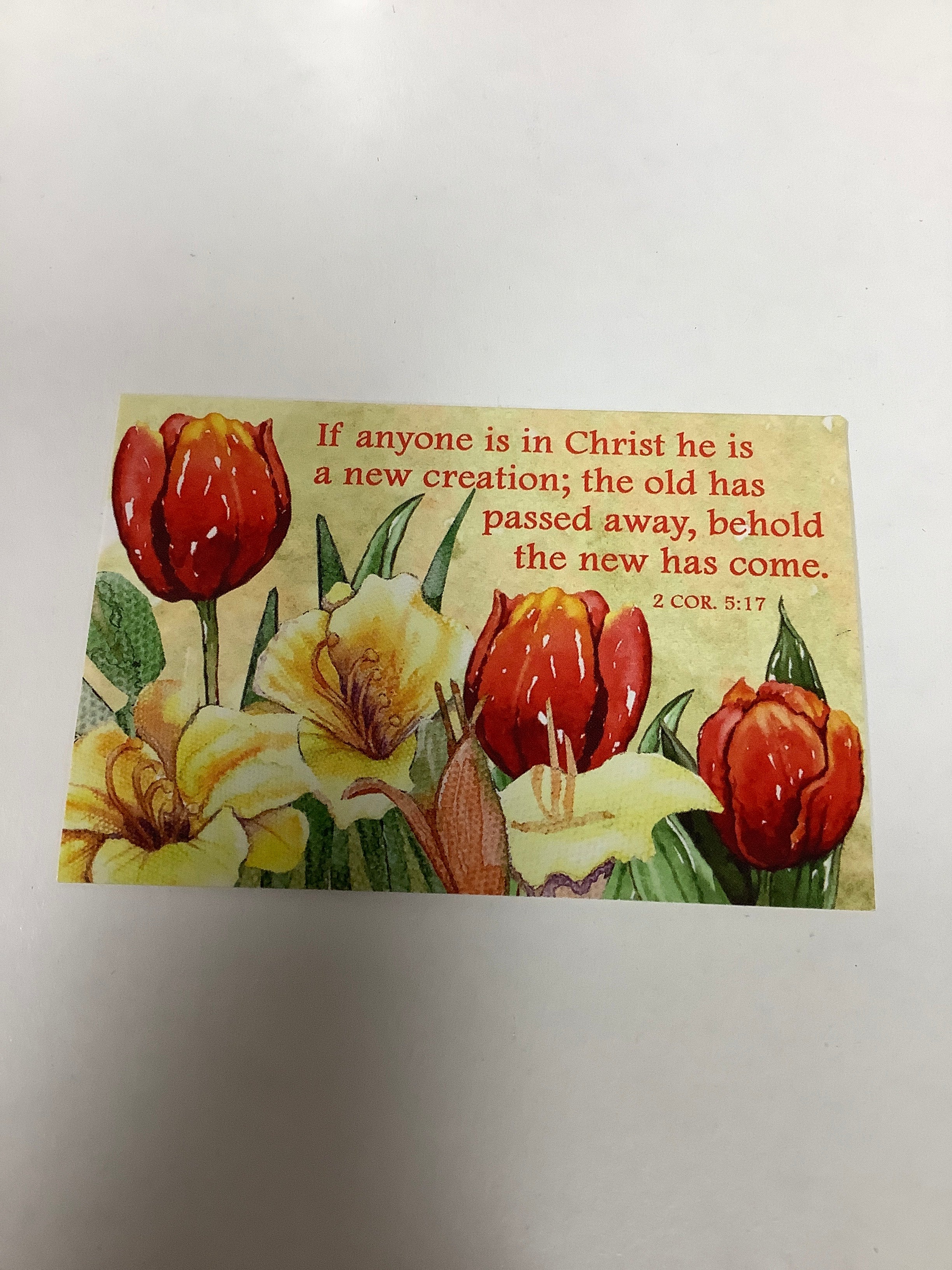 BM-pass it on-If anyone is in Christ-2 Cor 5:17