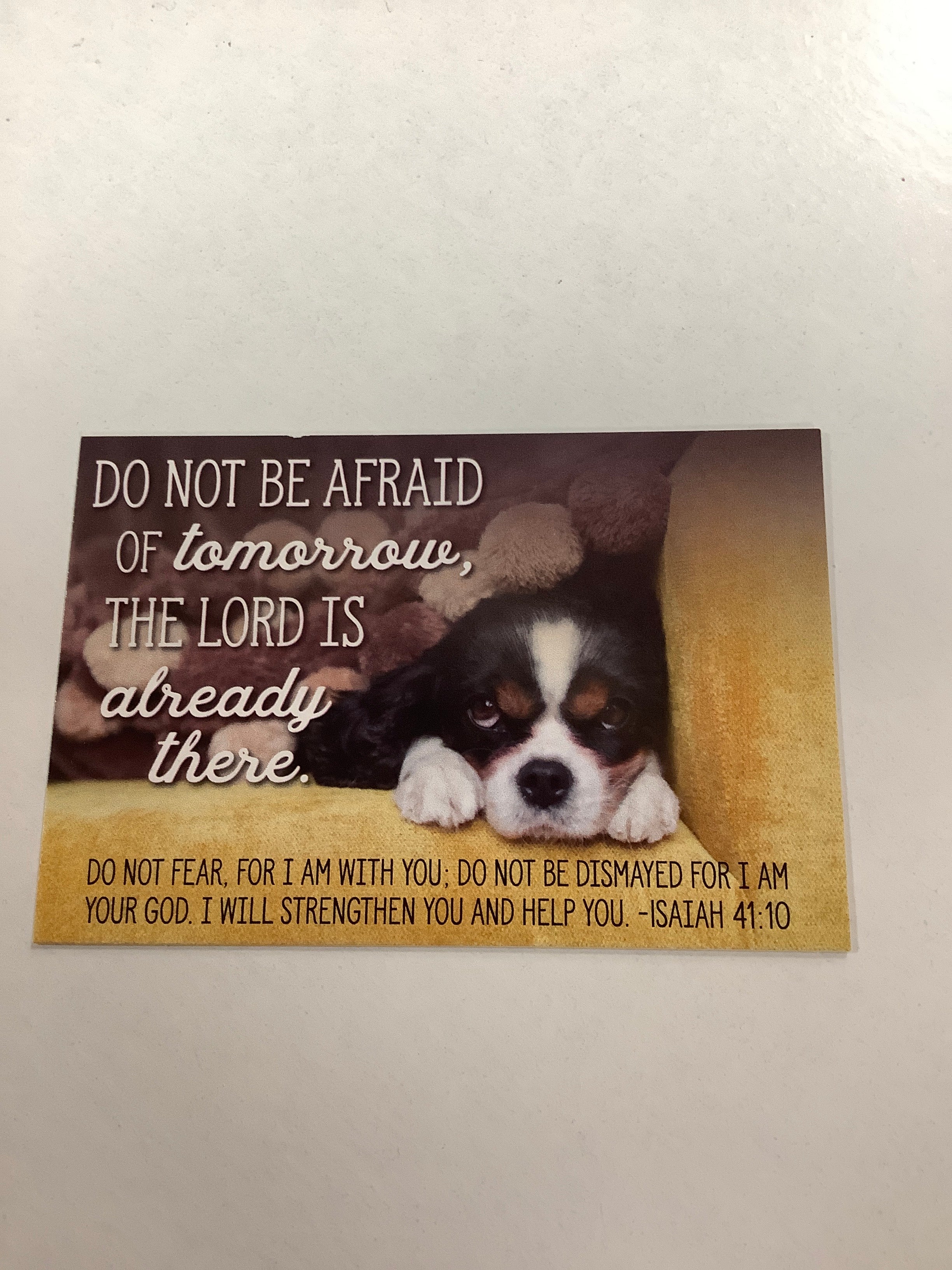 BM-pass it on-Do not be afraid-Isa 41:10