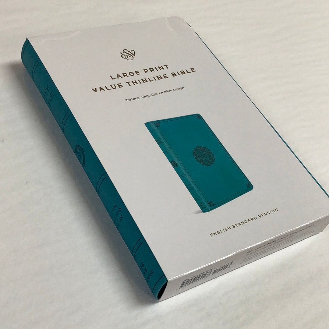 Bible/ESV/LP/Value/Turquoise