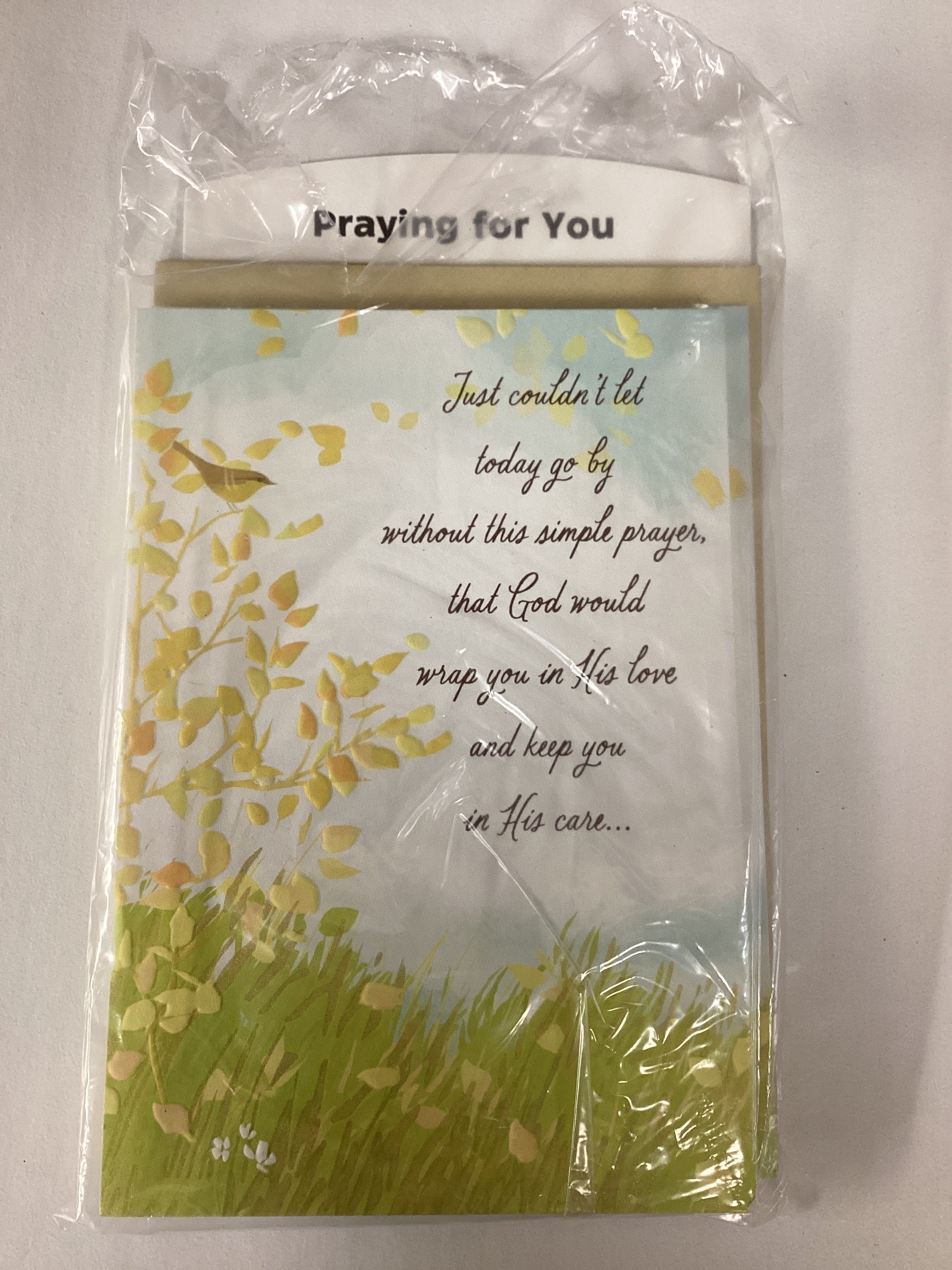 Card/Praying for You/J8195-(D003)