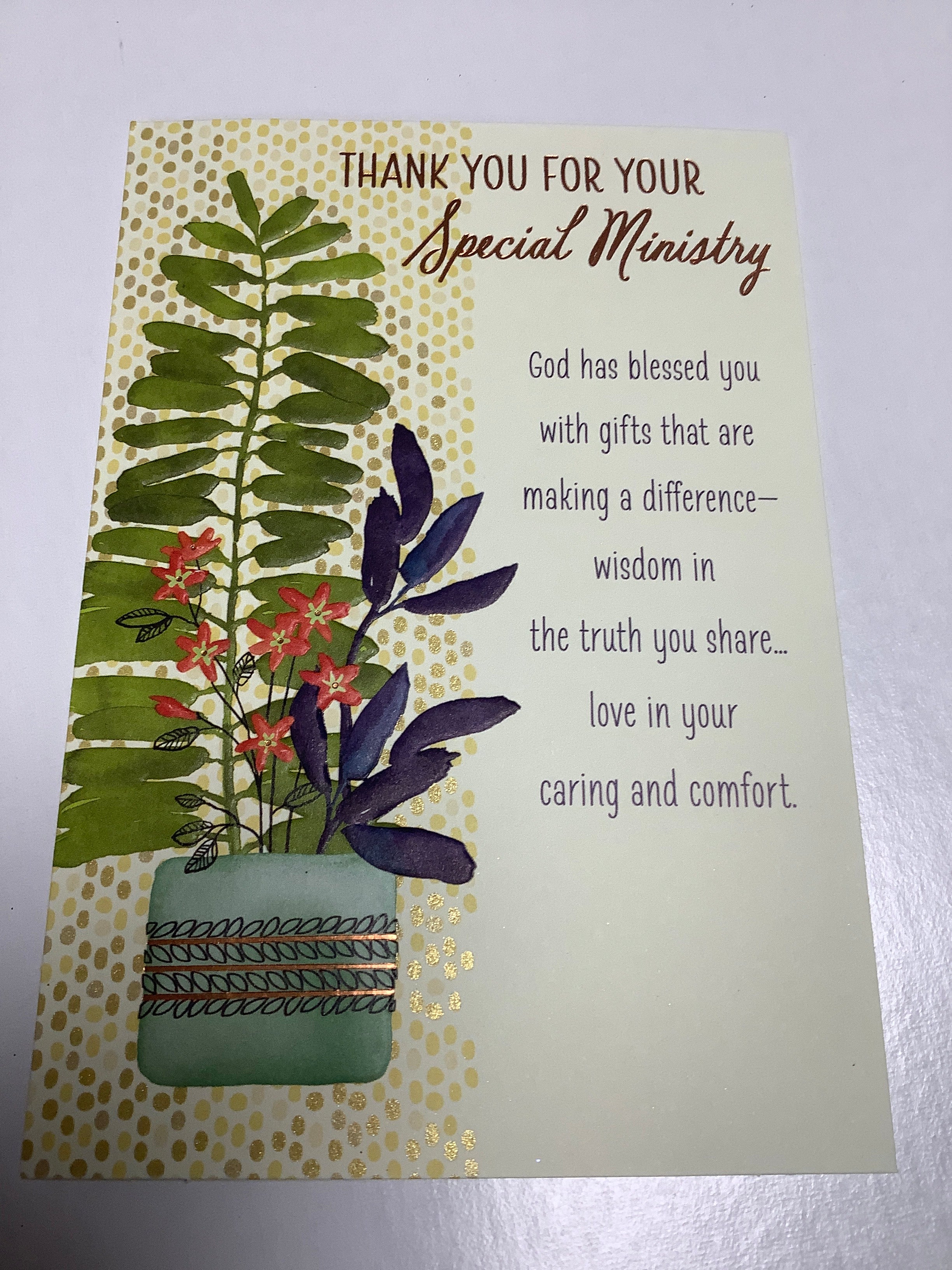 Card/Thank You Ministry/J8231-(C053)