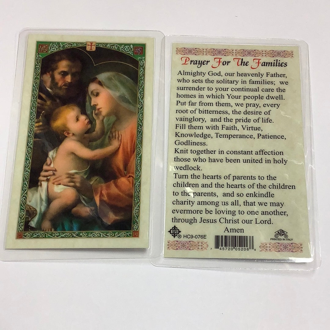 BM-laminated-Families-HC9-076E