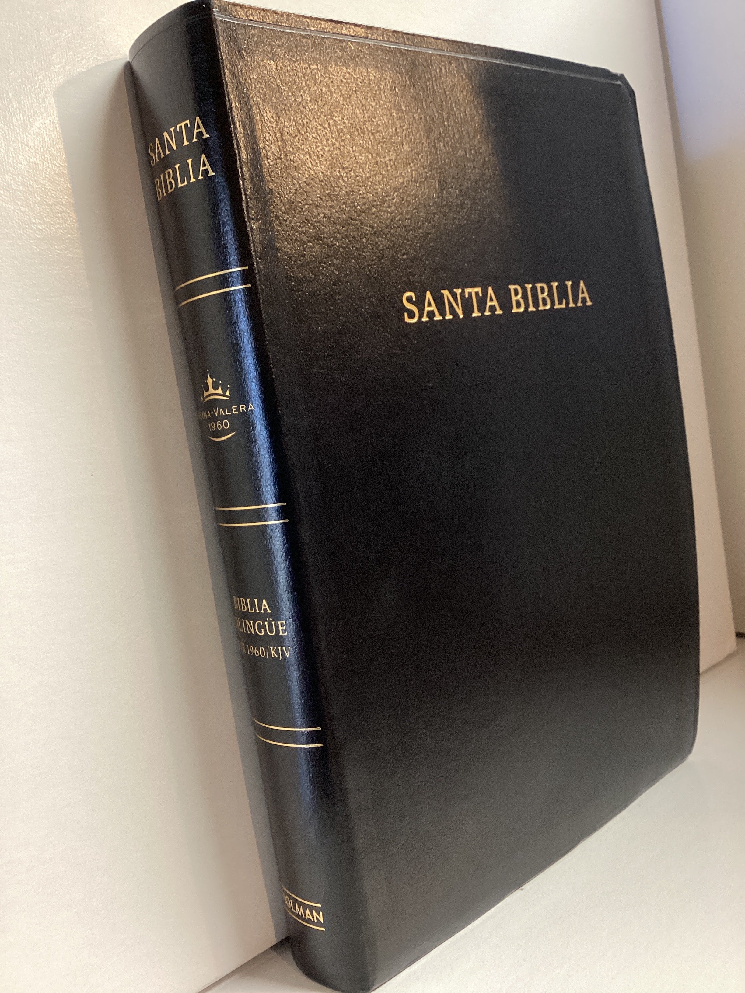 Bible/Bilingual/RVR 1960/KJV/I