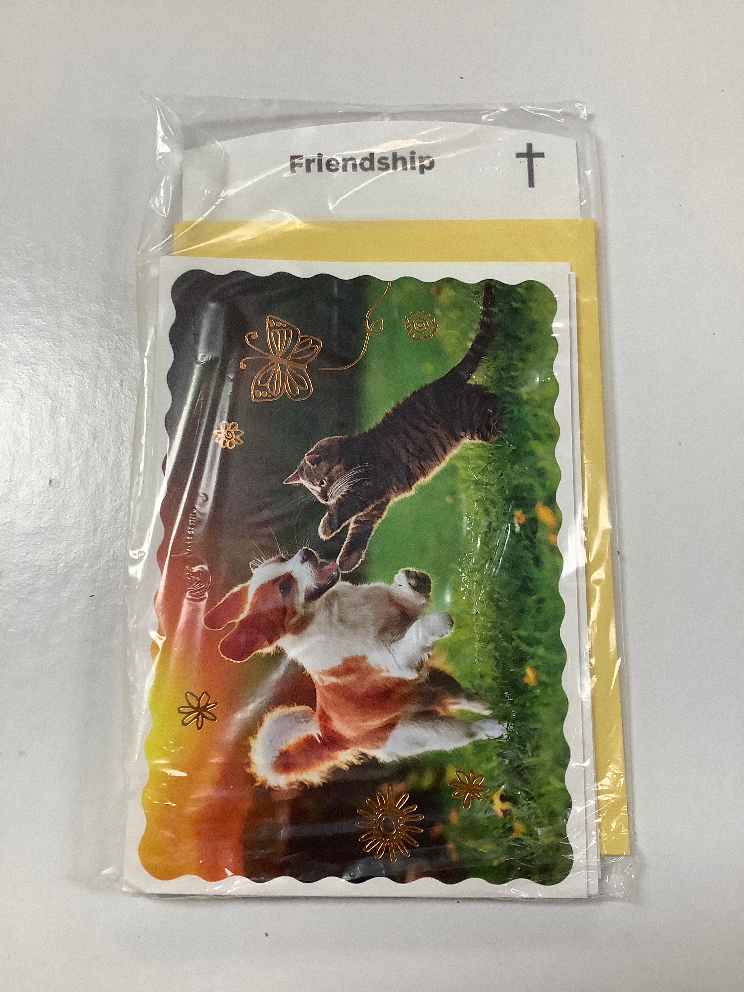 Card-Friendship-U4885-(WH13)