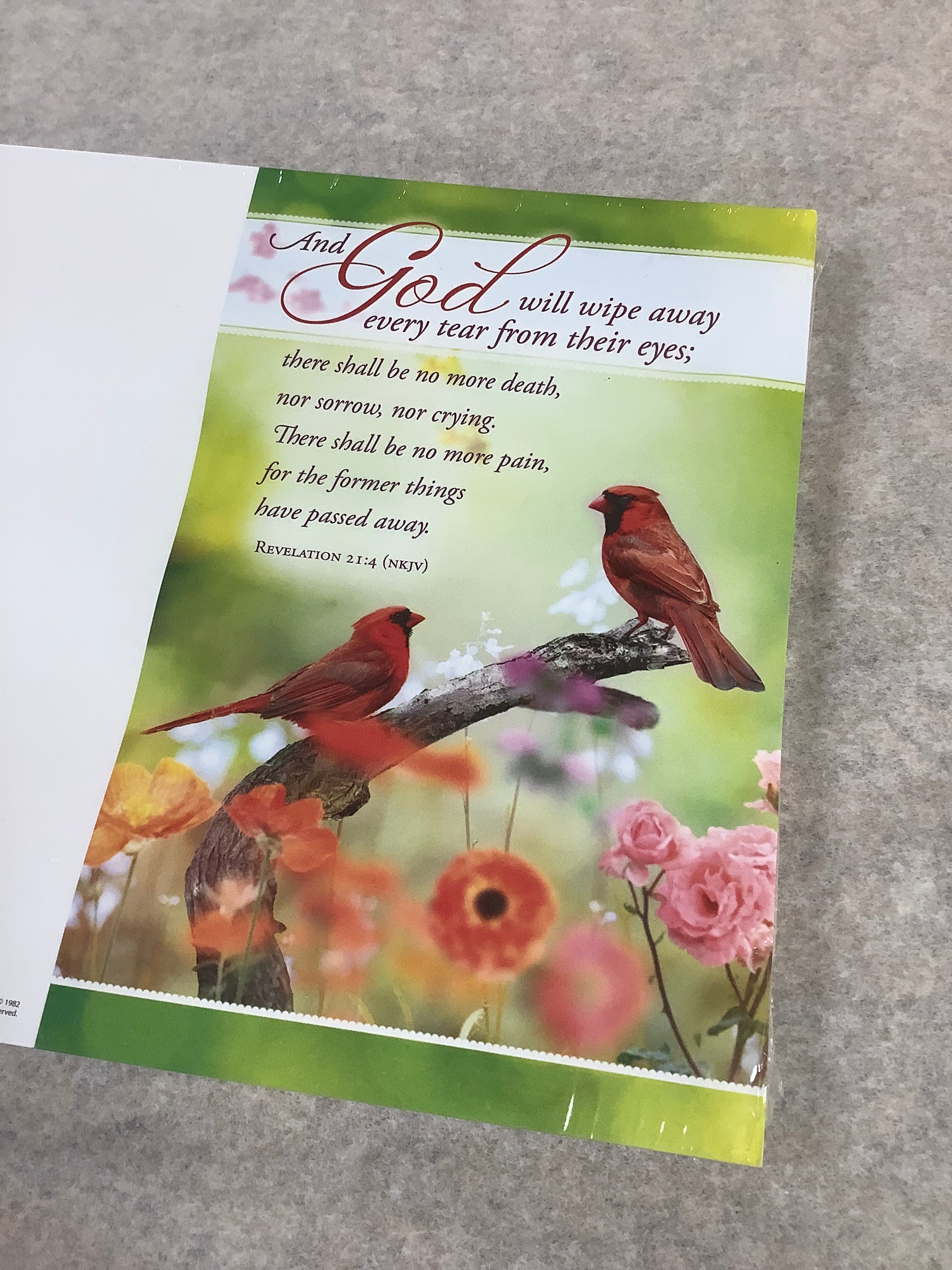 Bulletin/God Will Wipe/U2237