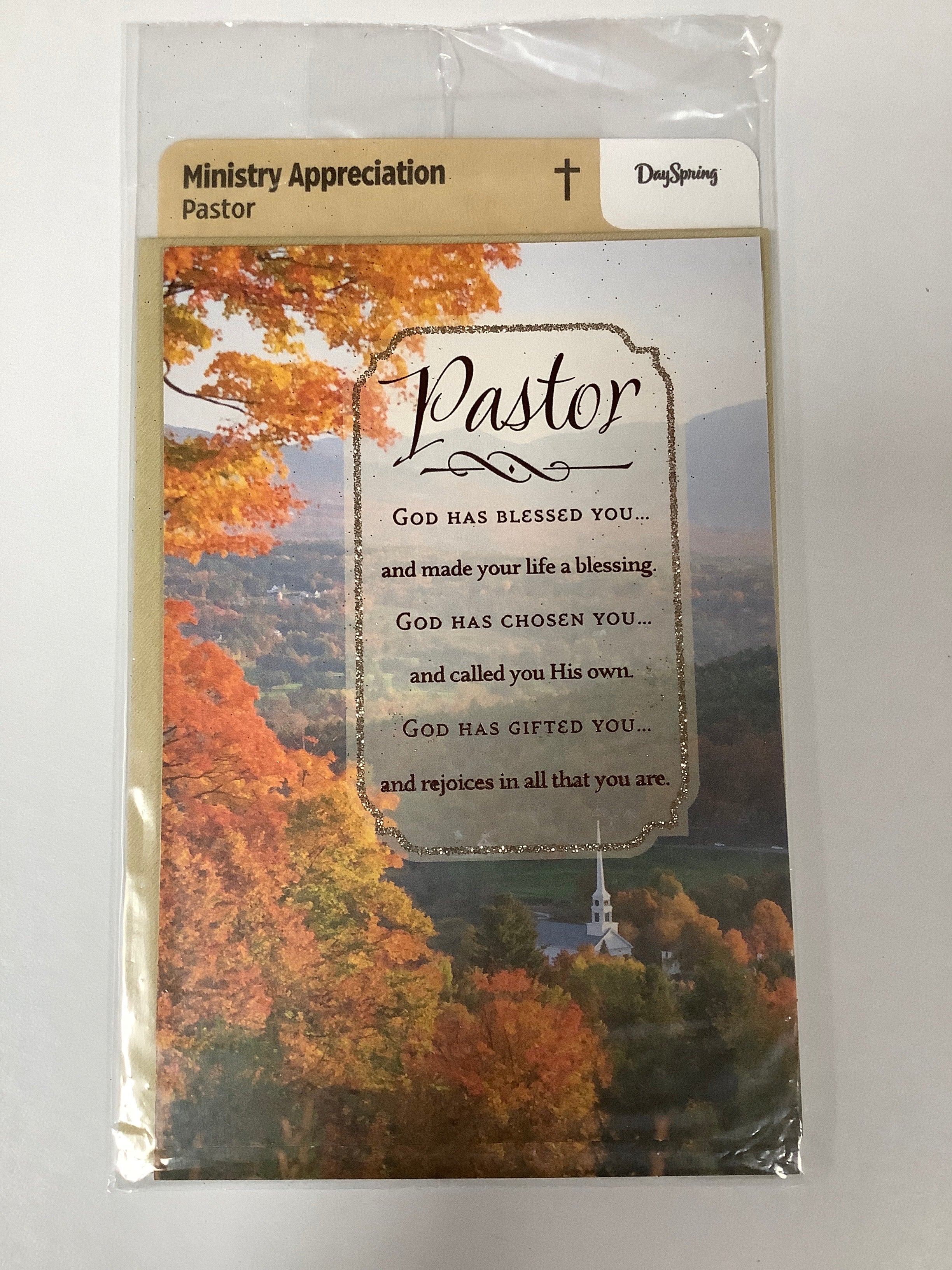 Card-Ministry Appreciation-Pastor-Colorful Trees Church-32997