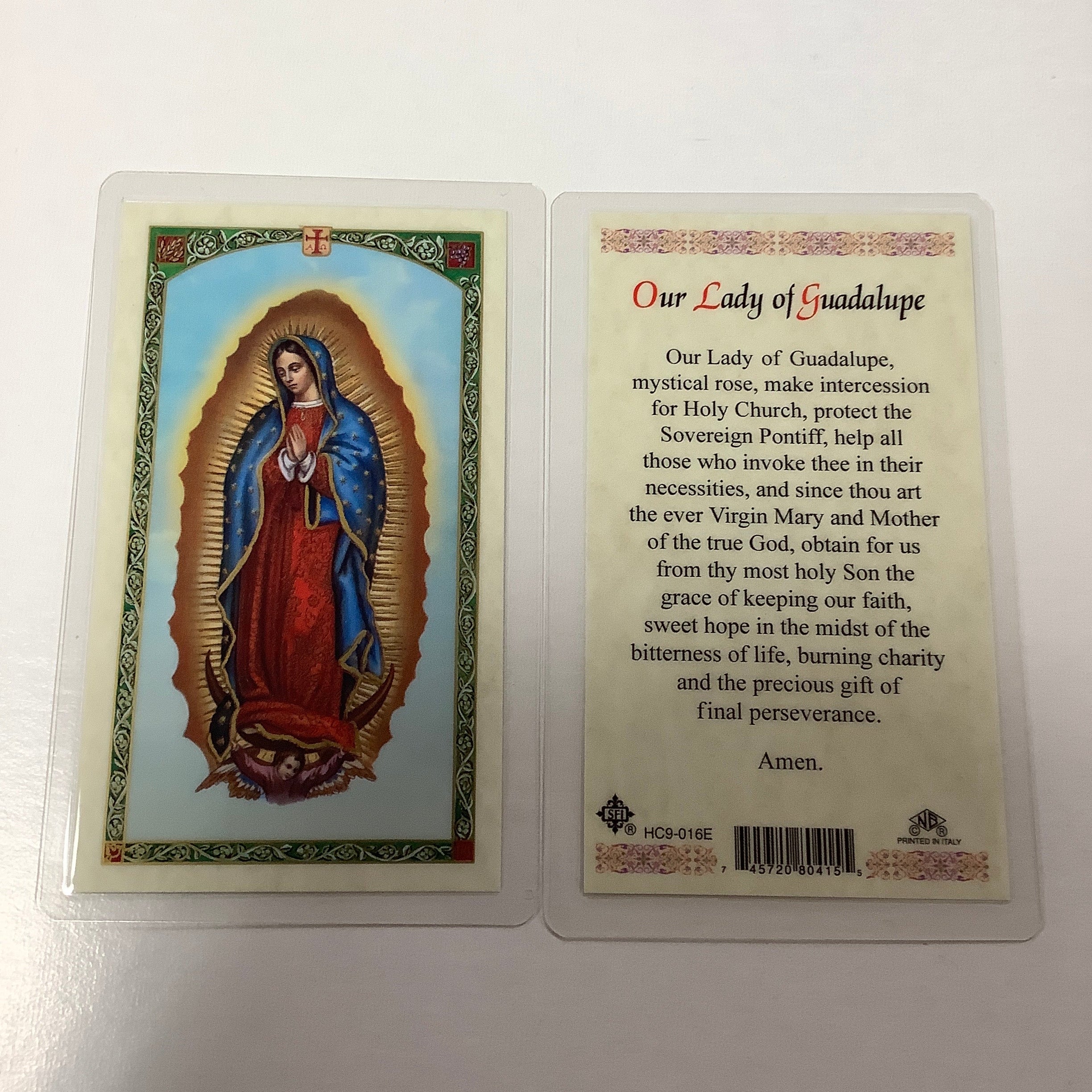 BM-laminated-Lady of Guadalupe-HC9-016E