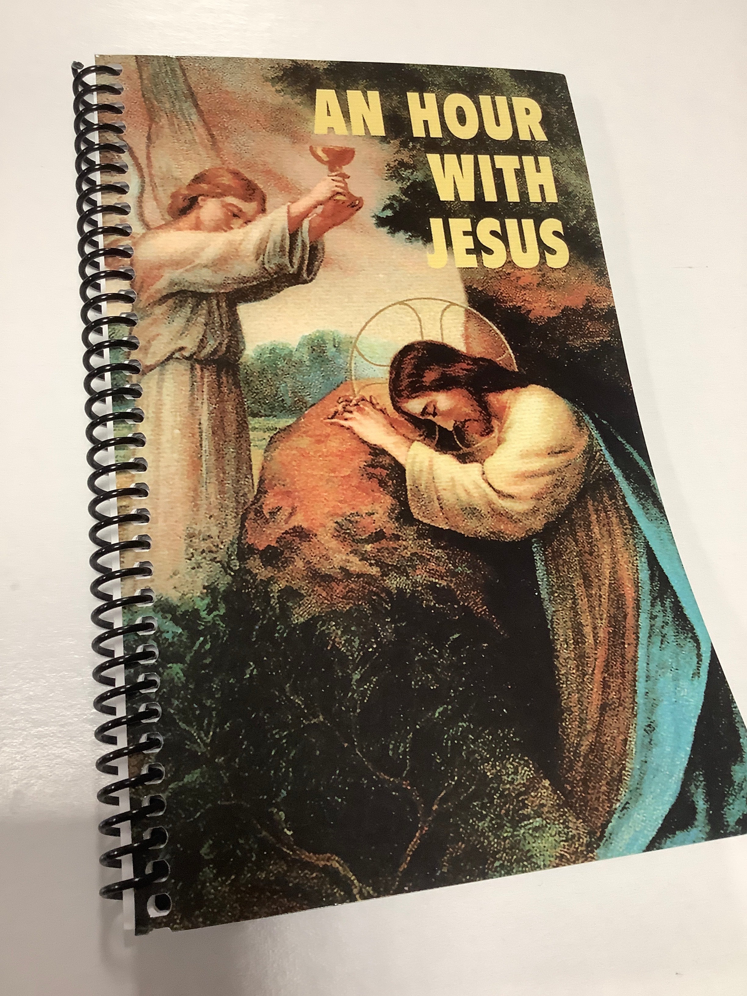 Book/An Hour With Jesus V 1