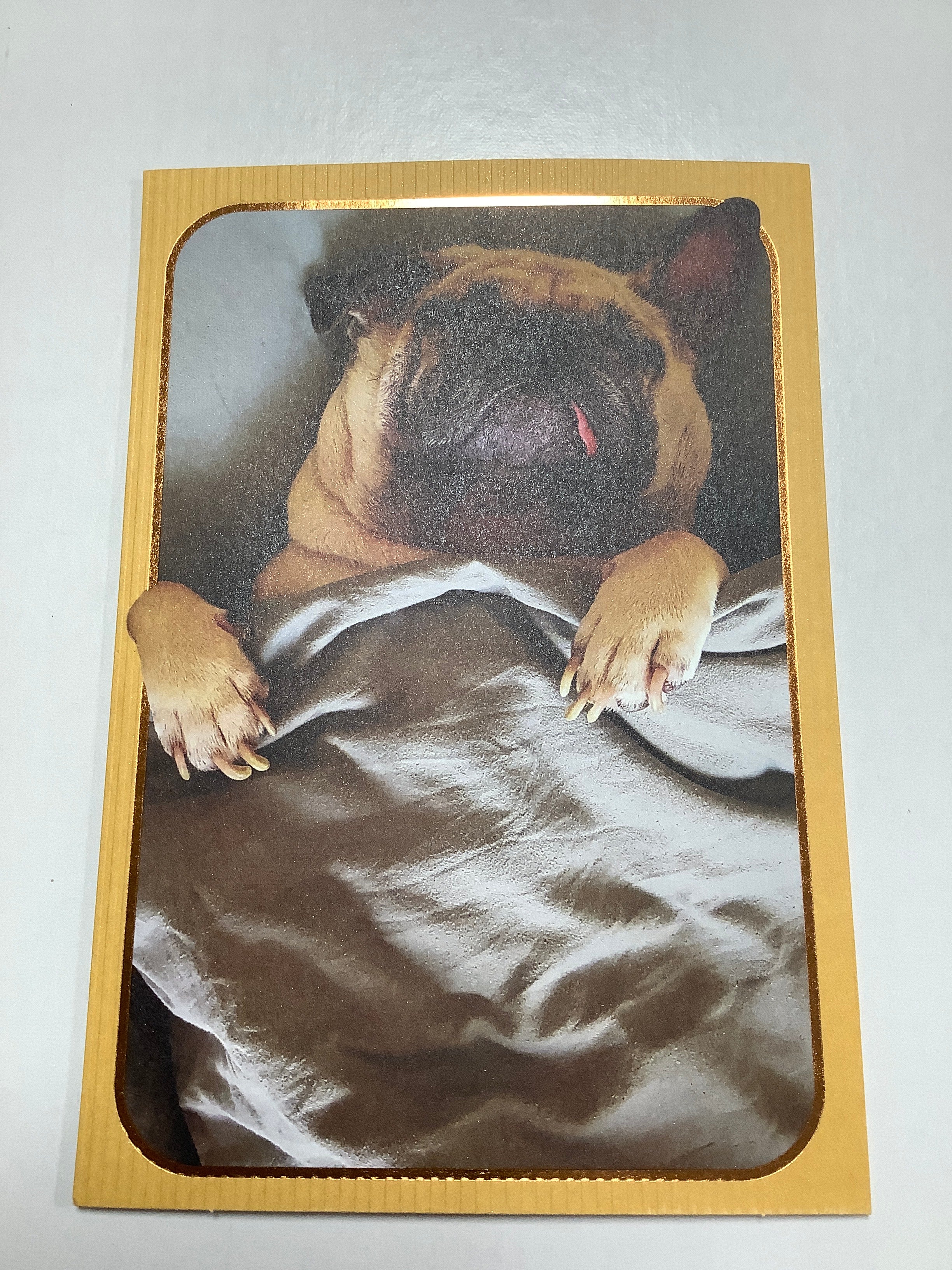 Card-Get Well-Humor-U2585