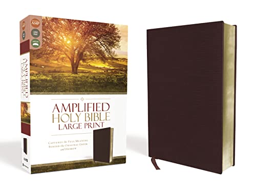 Bible-AMP-LP-Burgundy