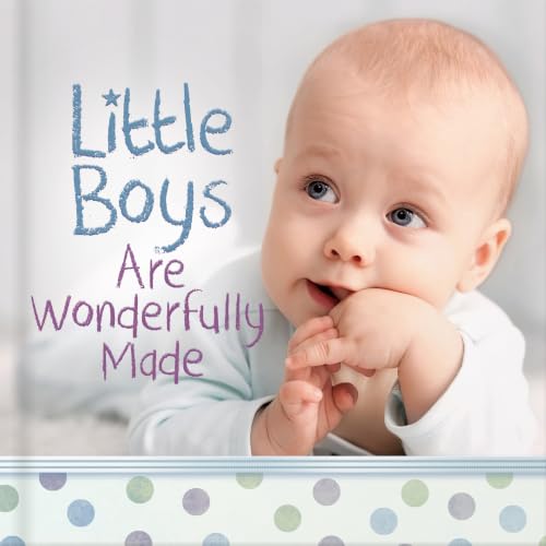 Book-Little Boys Are Wonderfully Made