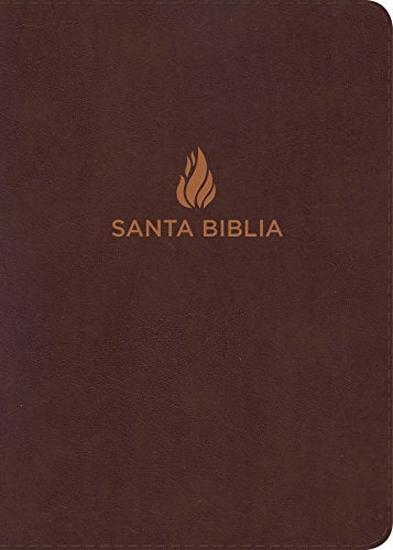 Bible/Spanish/RVR 1960/Burg/LG