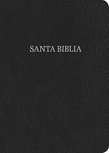 Bible/NIV/Spanish-NVI/SuperGP