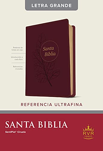 Bible/SP/RVR/Slim/Plum/LrgPrint