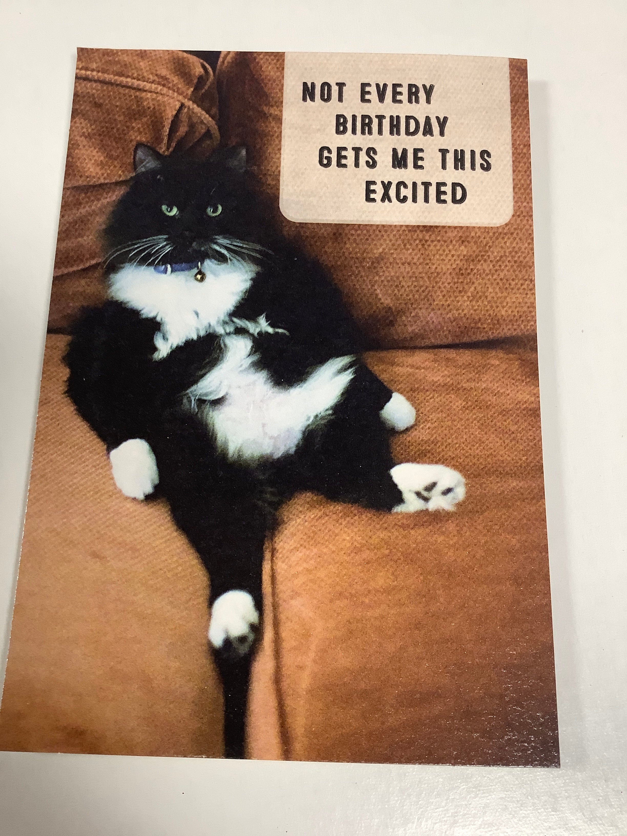 Card-BD-Humor-U0387 (B104)