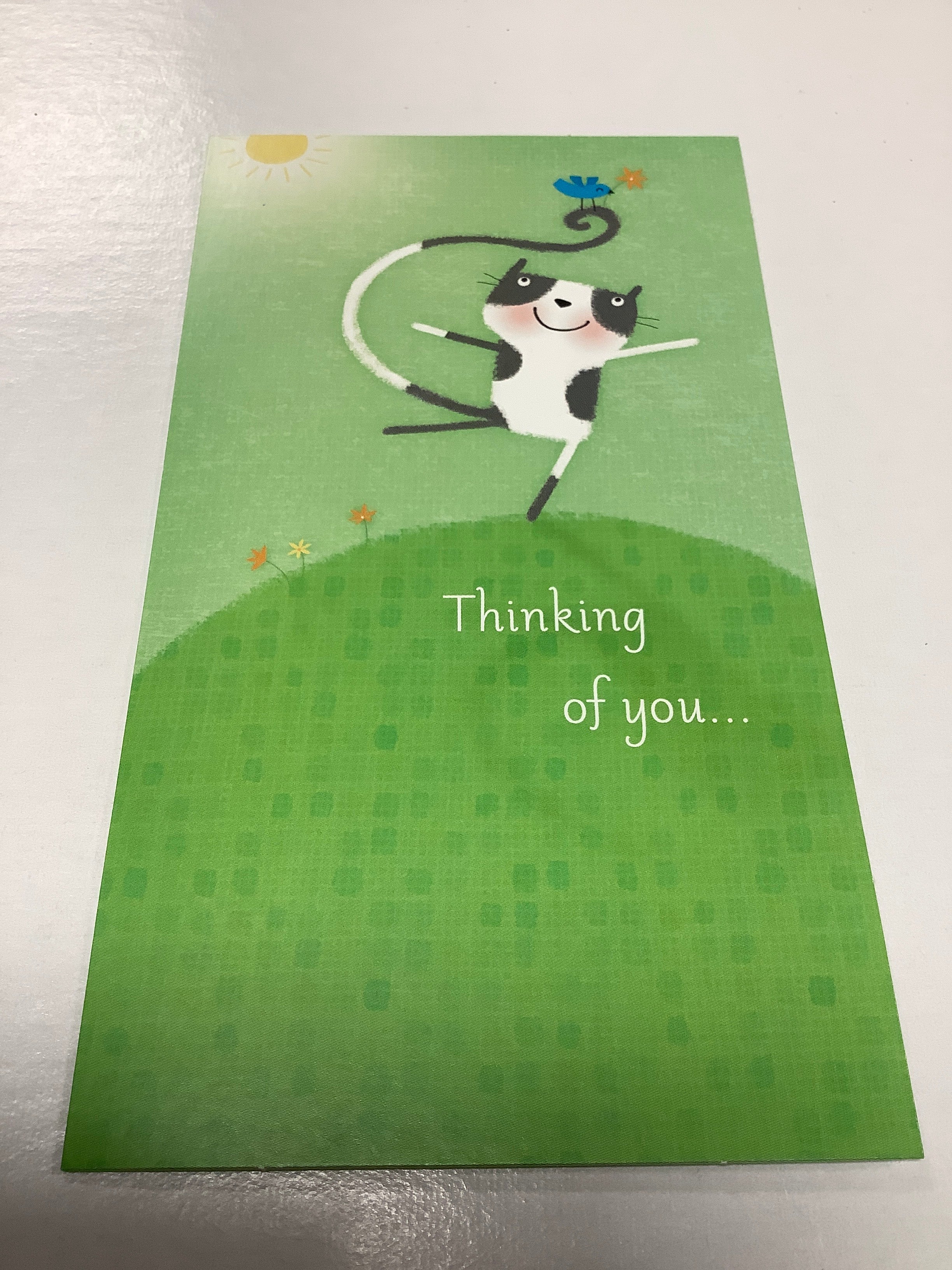 Card/Thinking of you/Cat