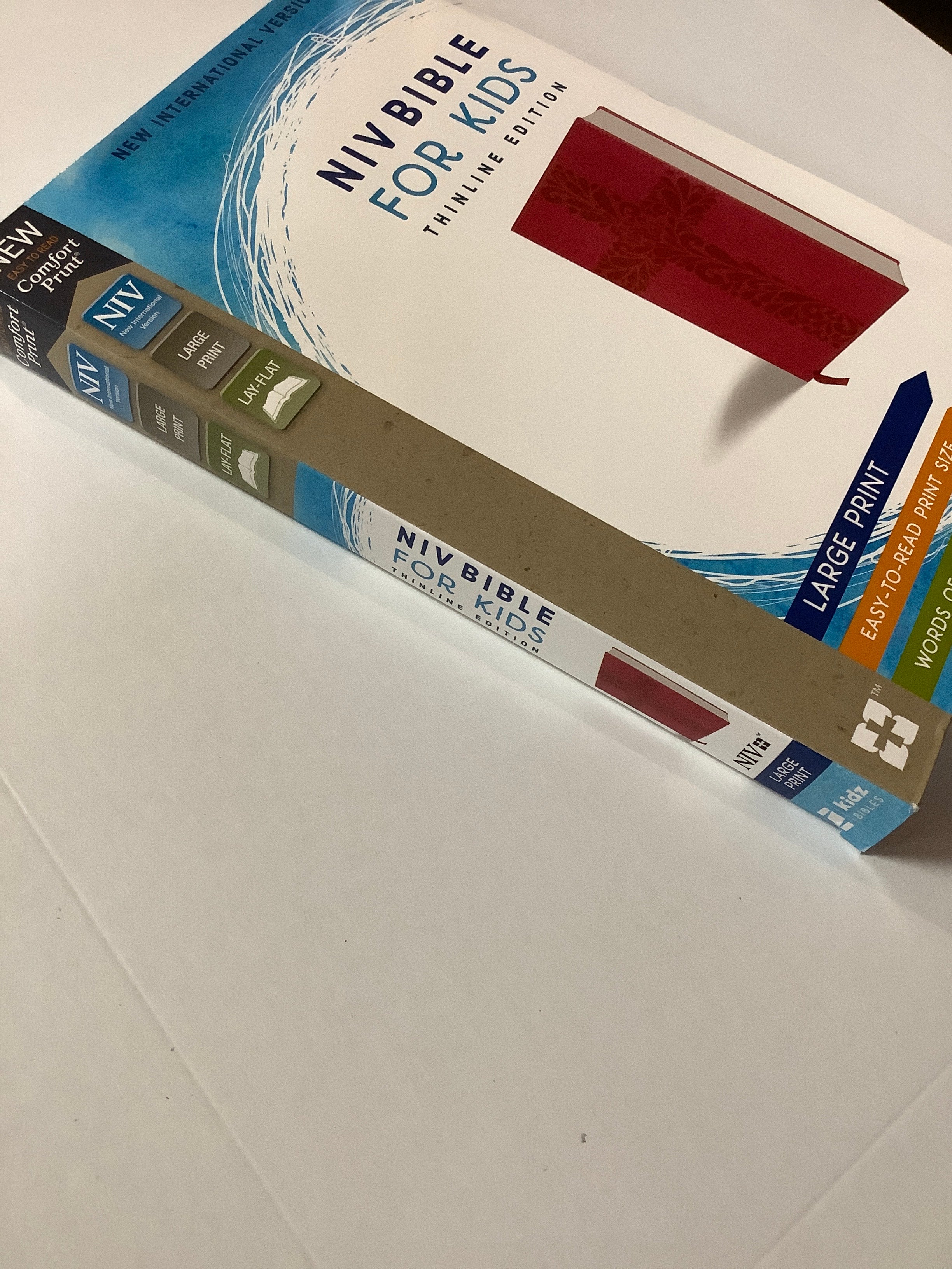 Bible/NIV For Kids/LP