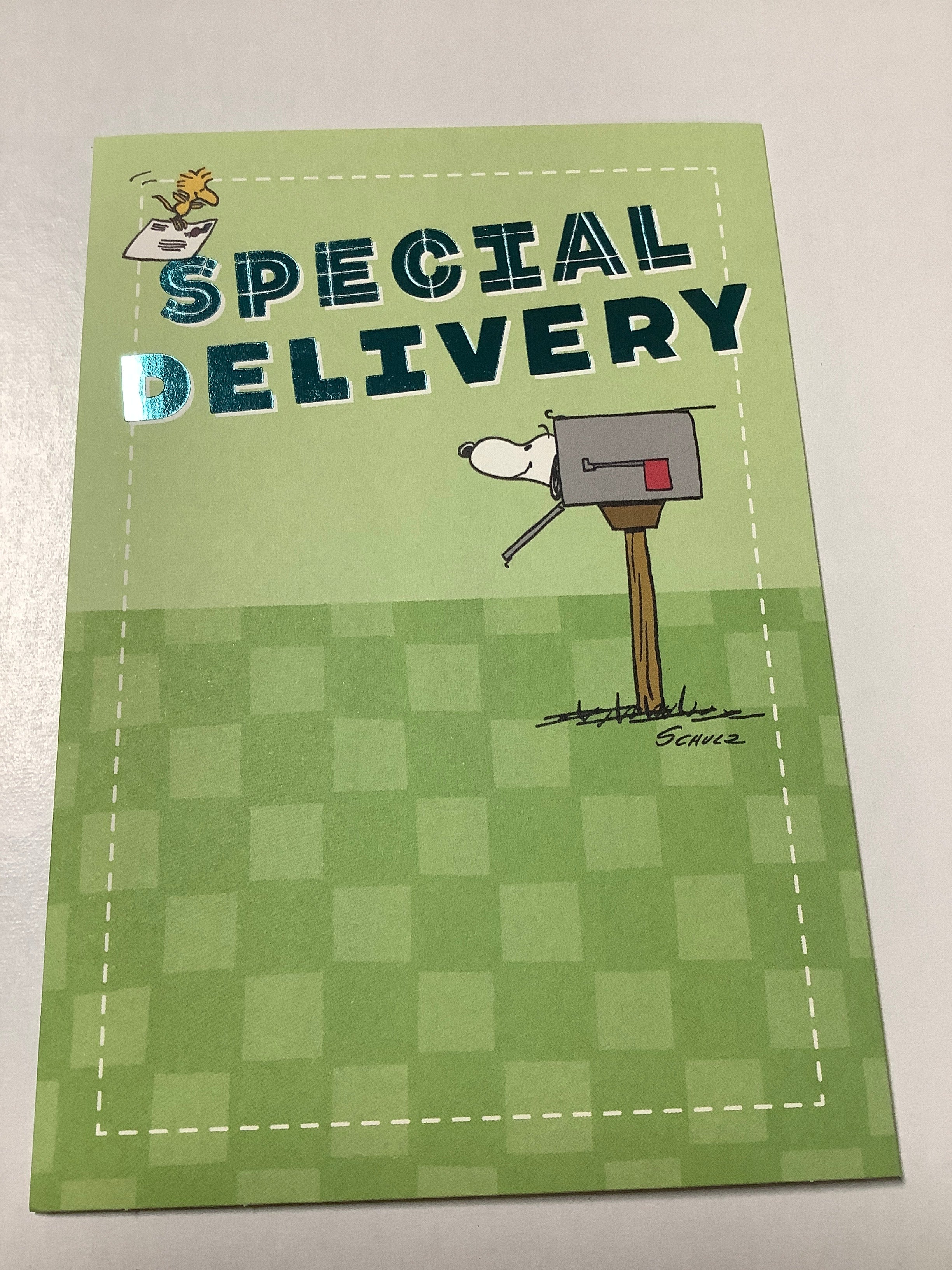 Card-Flex-Peanuts-Bday-U4334