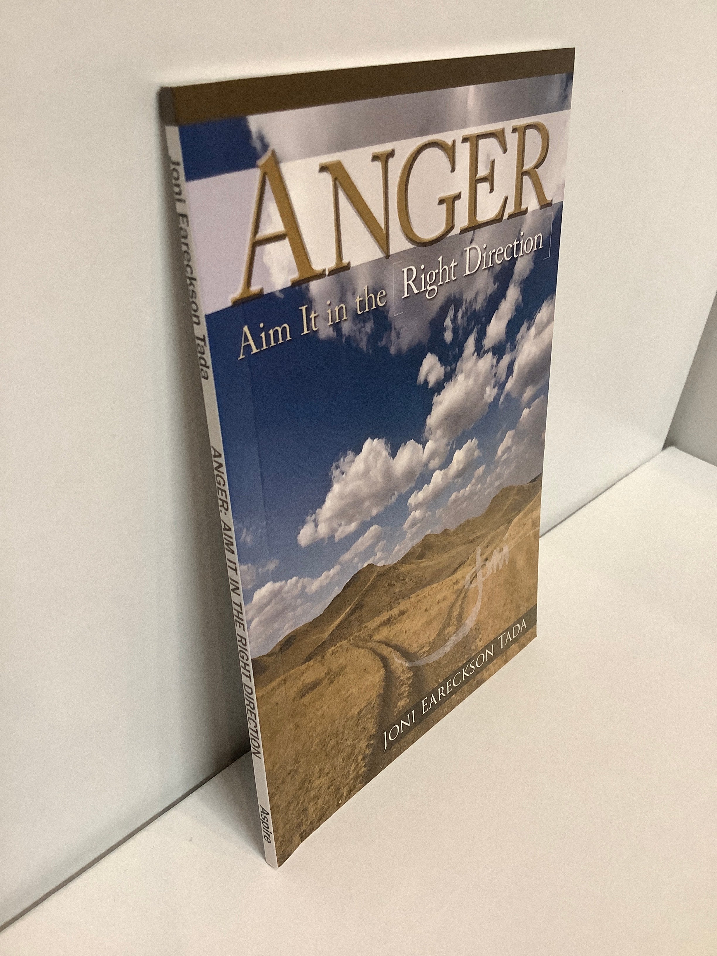 Book/Anger/Aim It In The Right