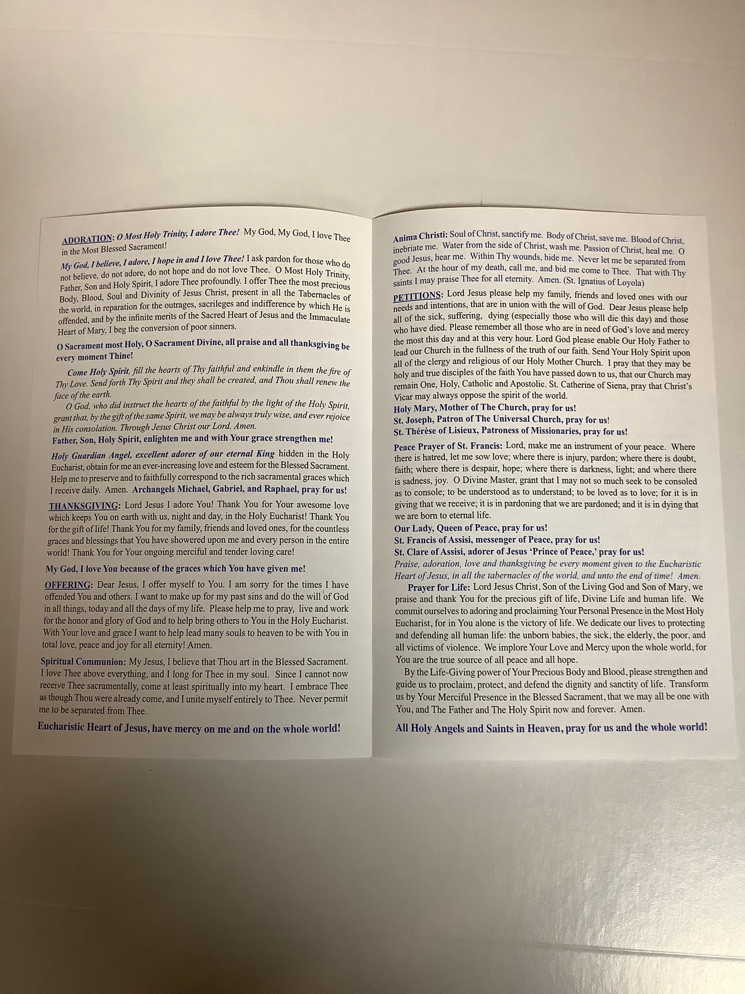 Pamphlet/How to Make A Holy Hour A-10 Pamphlet