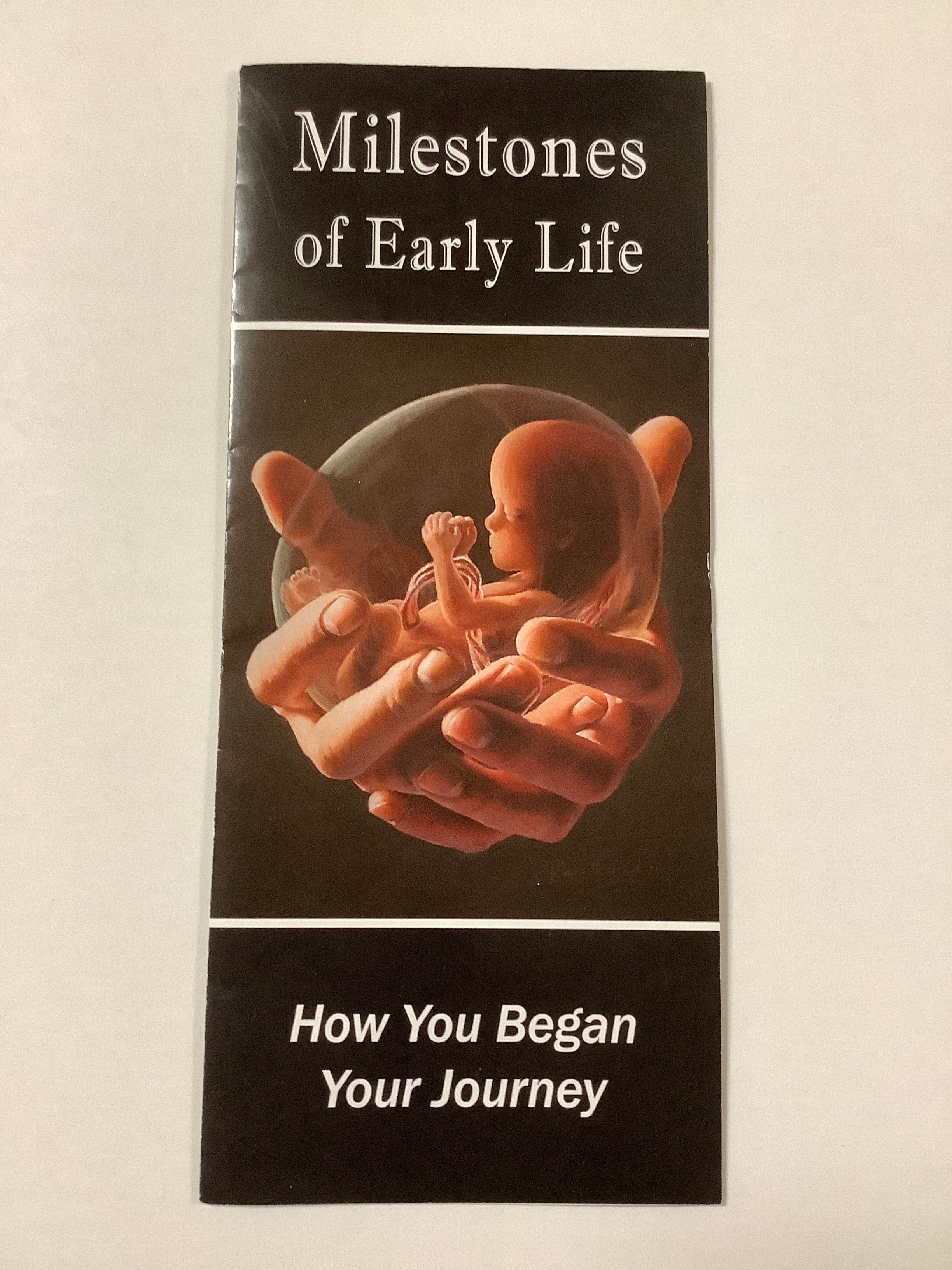 Pamphlet/Milestones/9438MS-Abortion