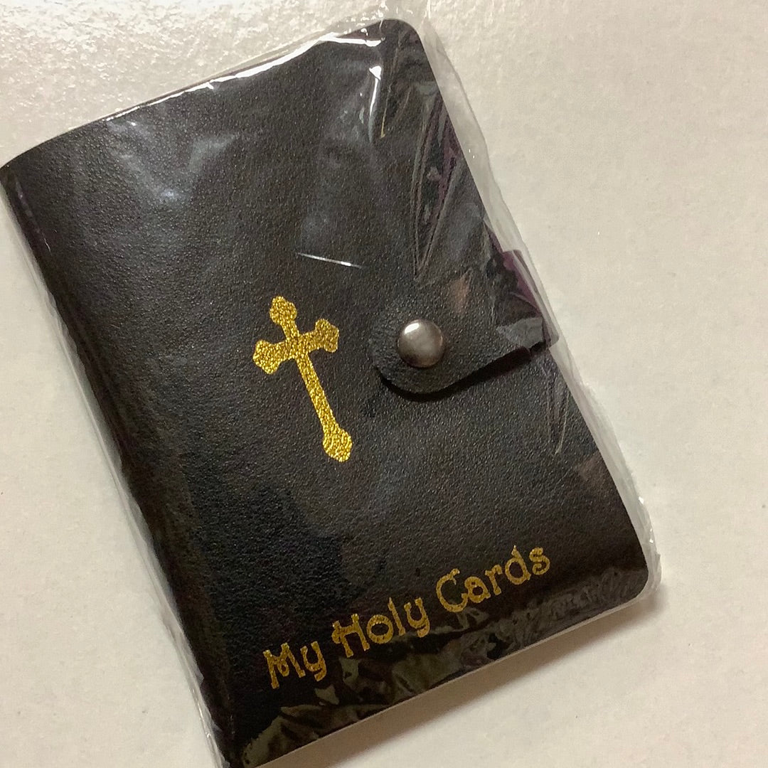 LaminatedCardHolder/BLACK
