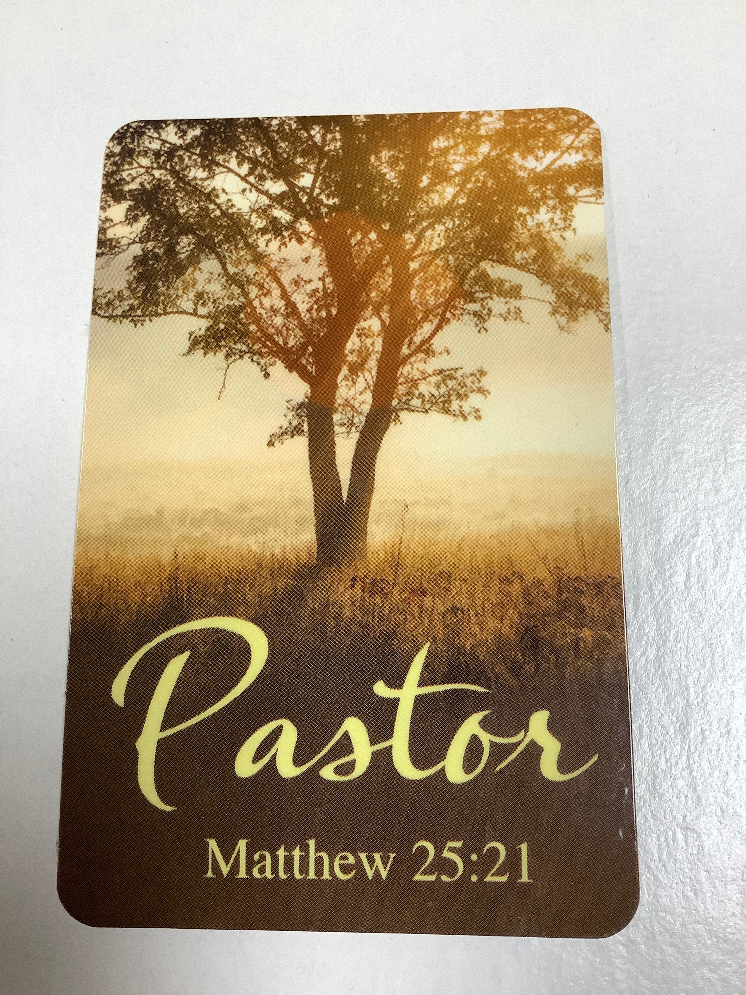 Pocket Card/Pastor/Matt 25:21