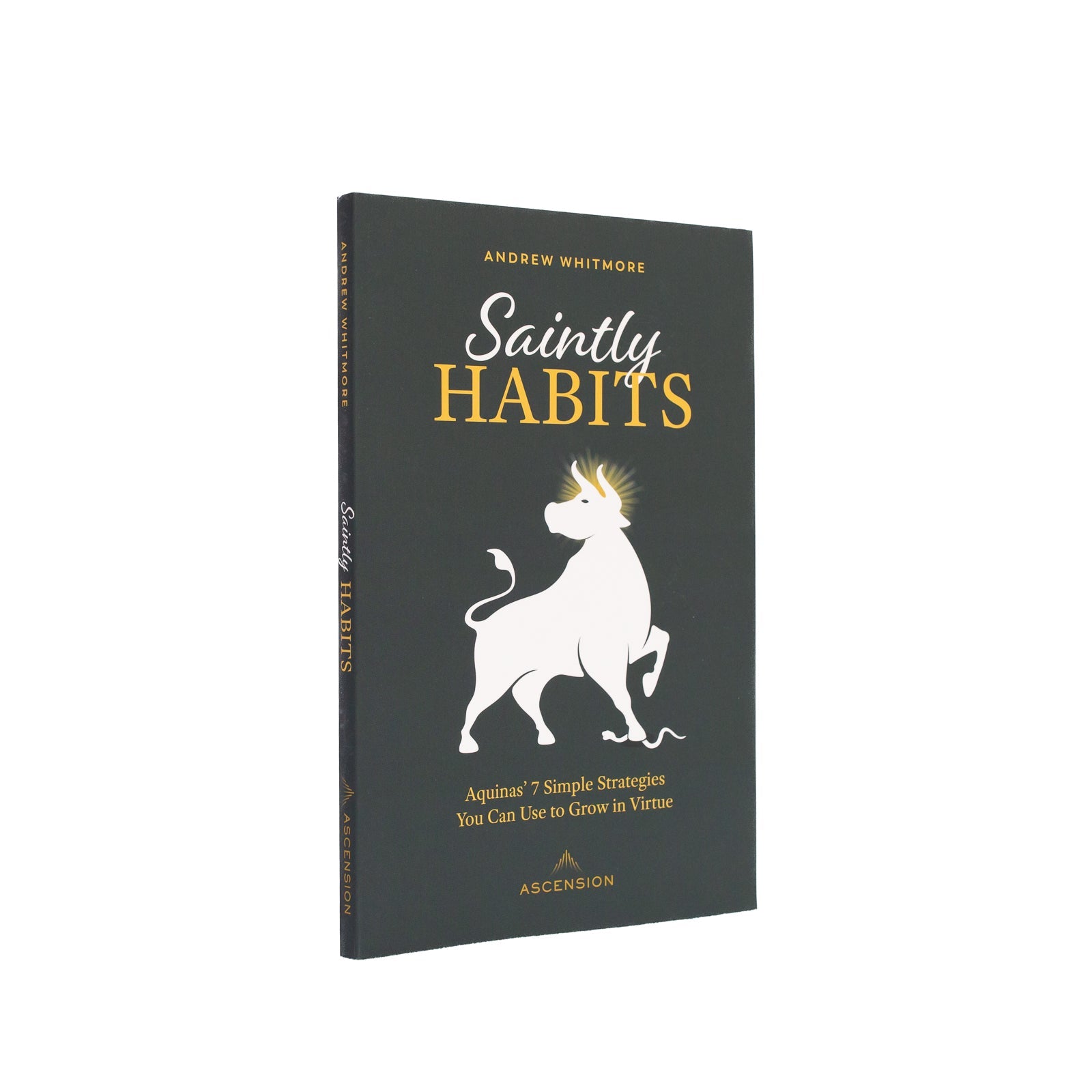 Book-Saintly Habits