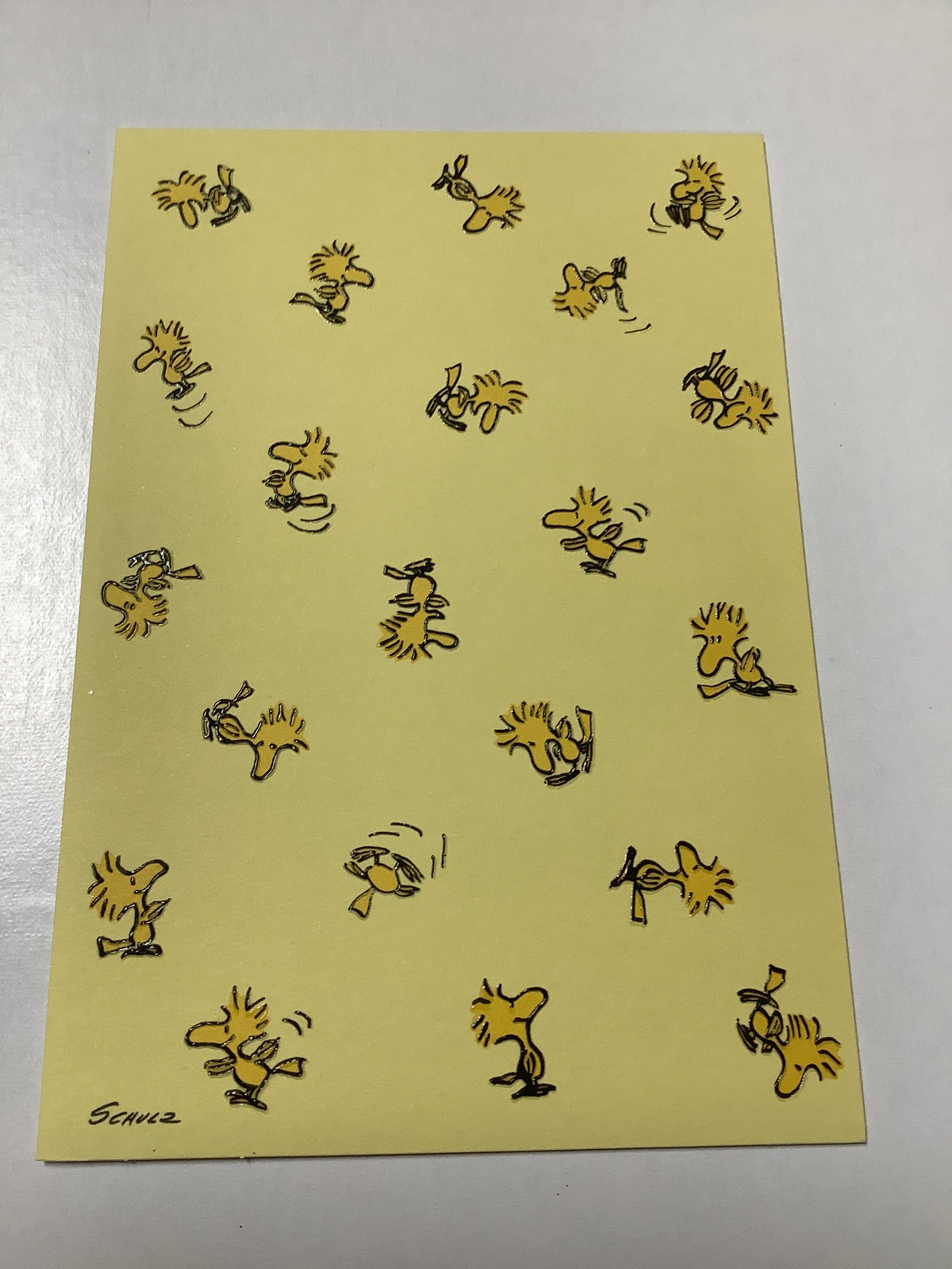 Card-Flex-Peanuts-Blank-U4335