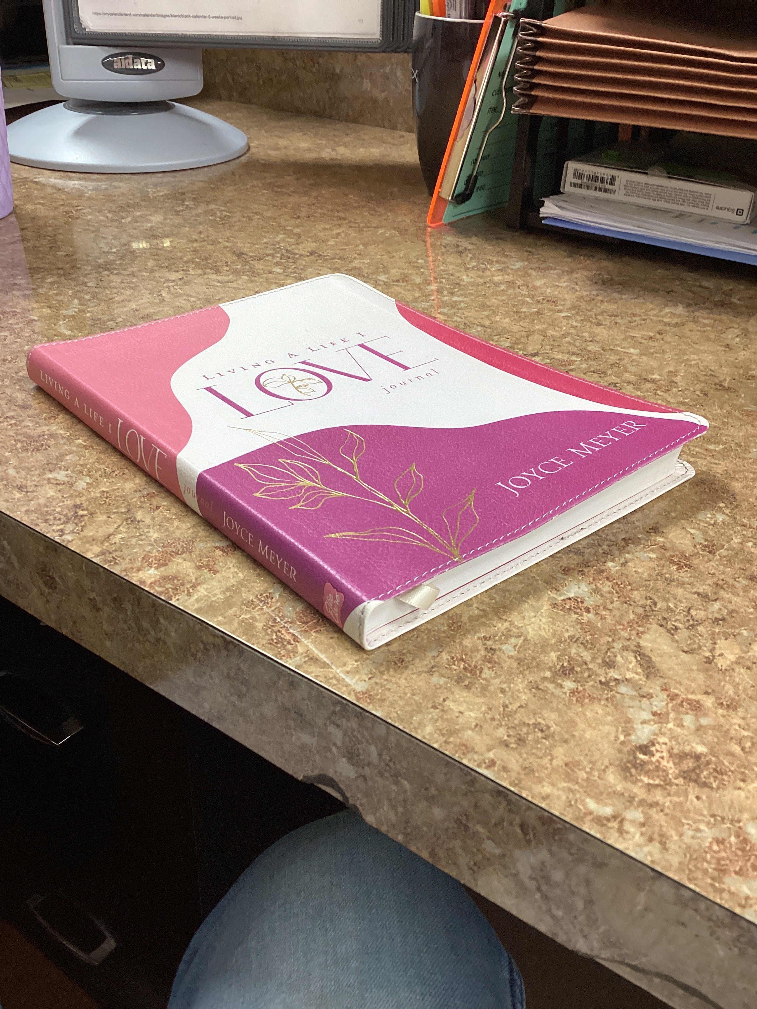 Journal/Living A Life I Love-Meyer