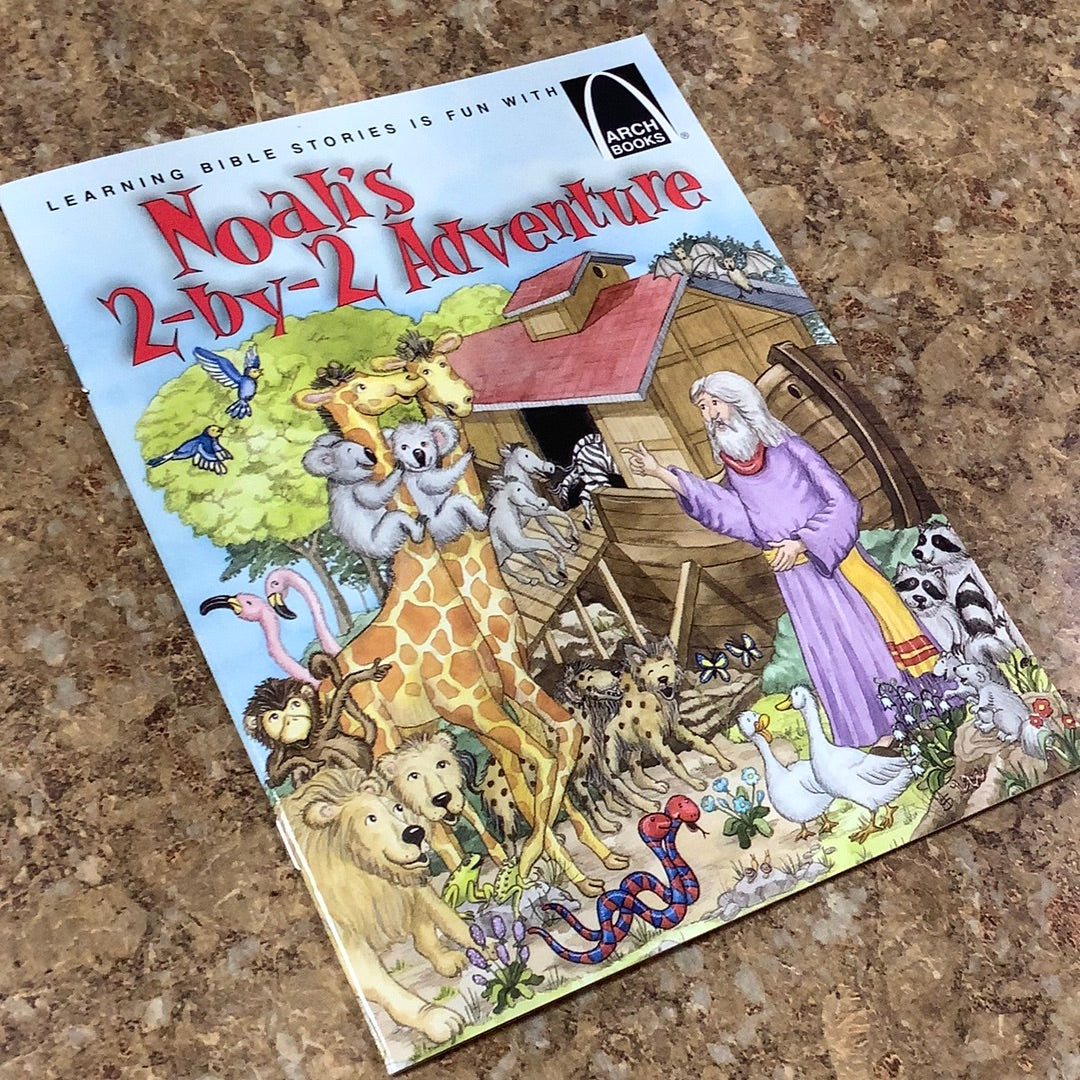 Book/Noah's 2x2 Adventure