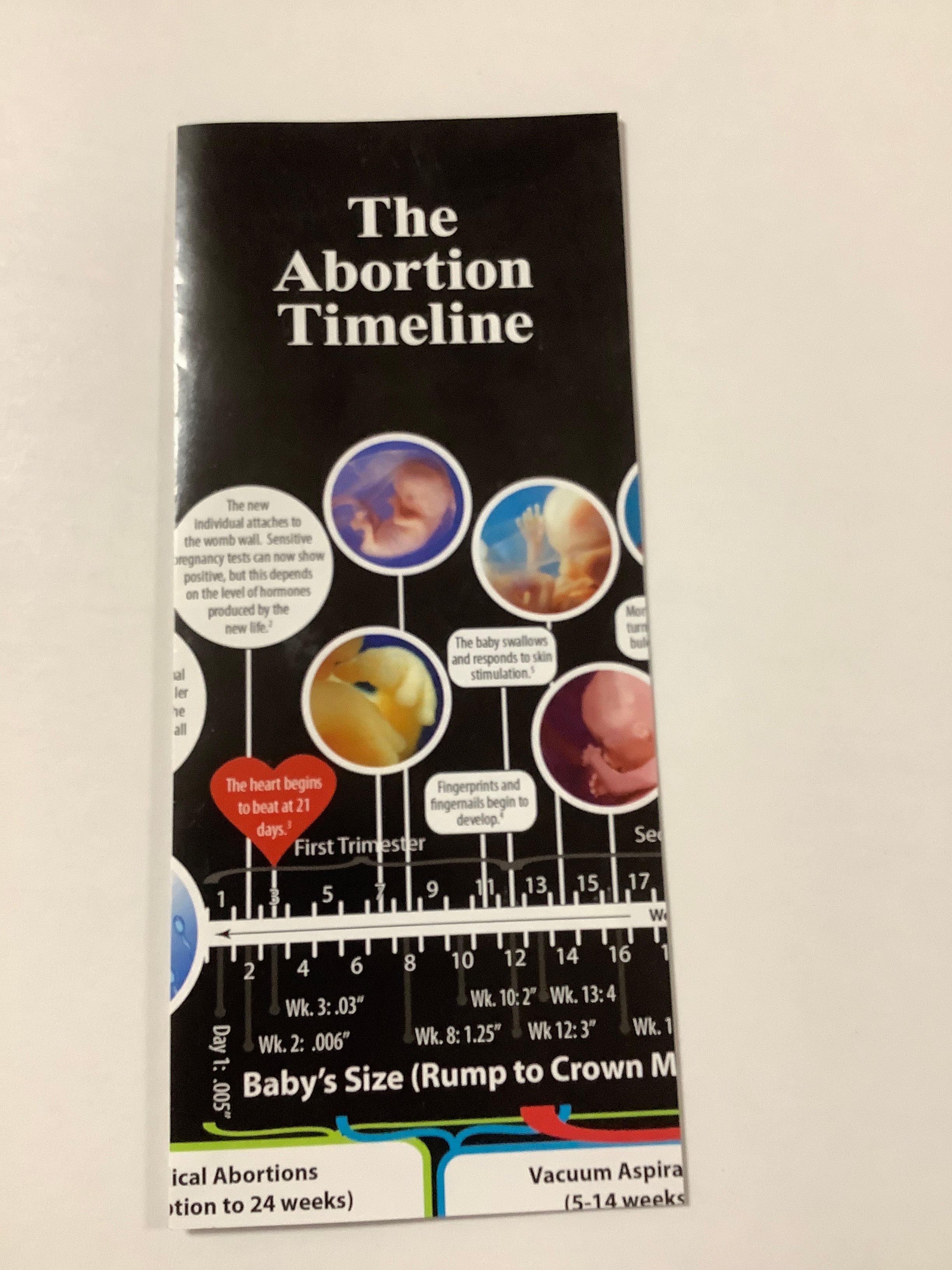 Pamphlet/Abortion Timeline-Abortion