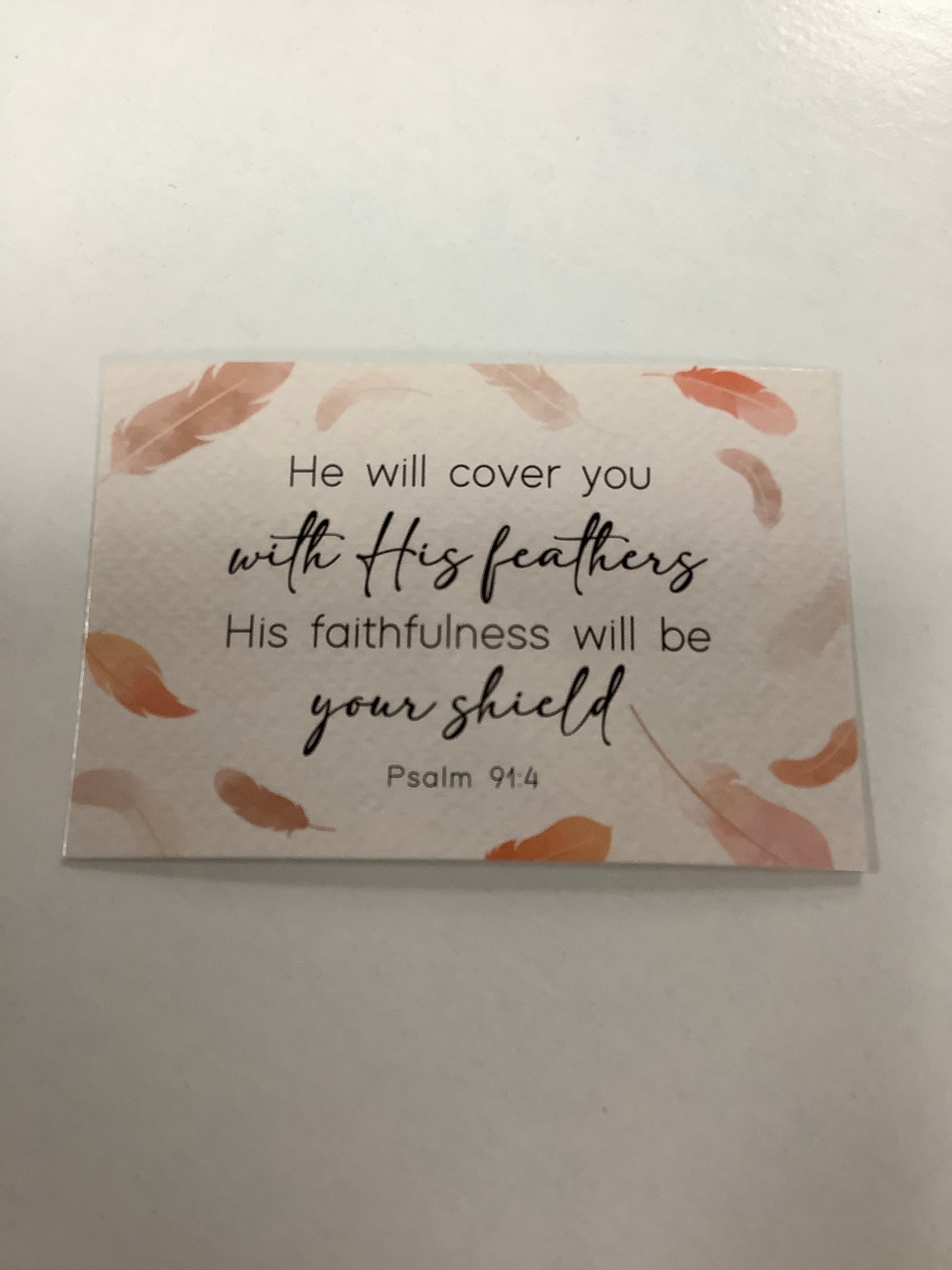 BM-pass it on-He will cover you-Psalm 91:4